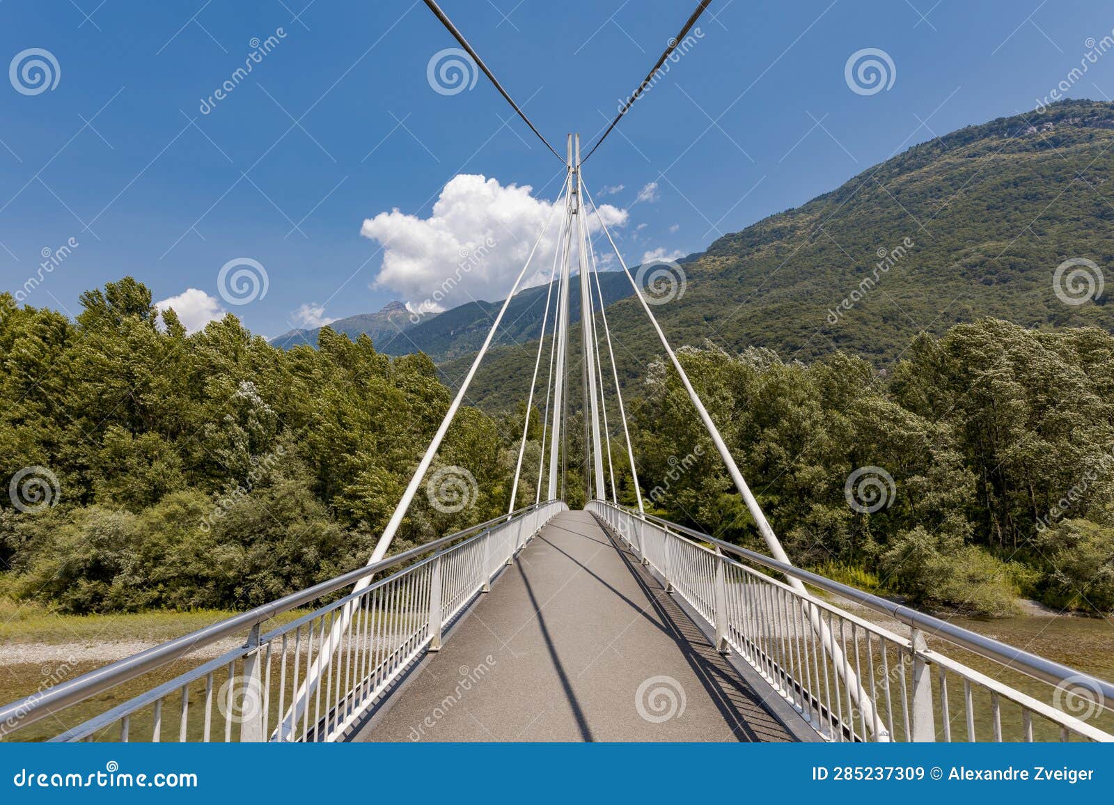 footbridge in the middle of the forest, beautiful architecture with a large engineering firm