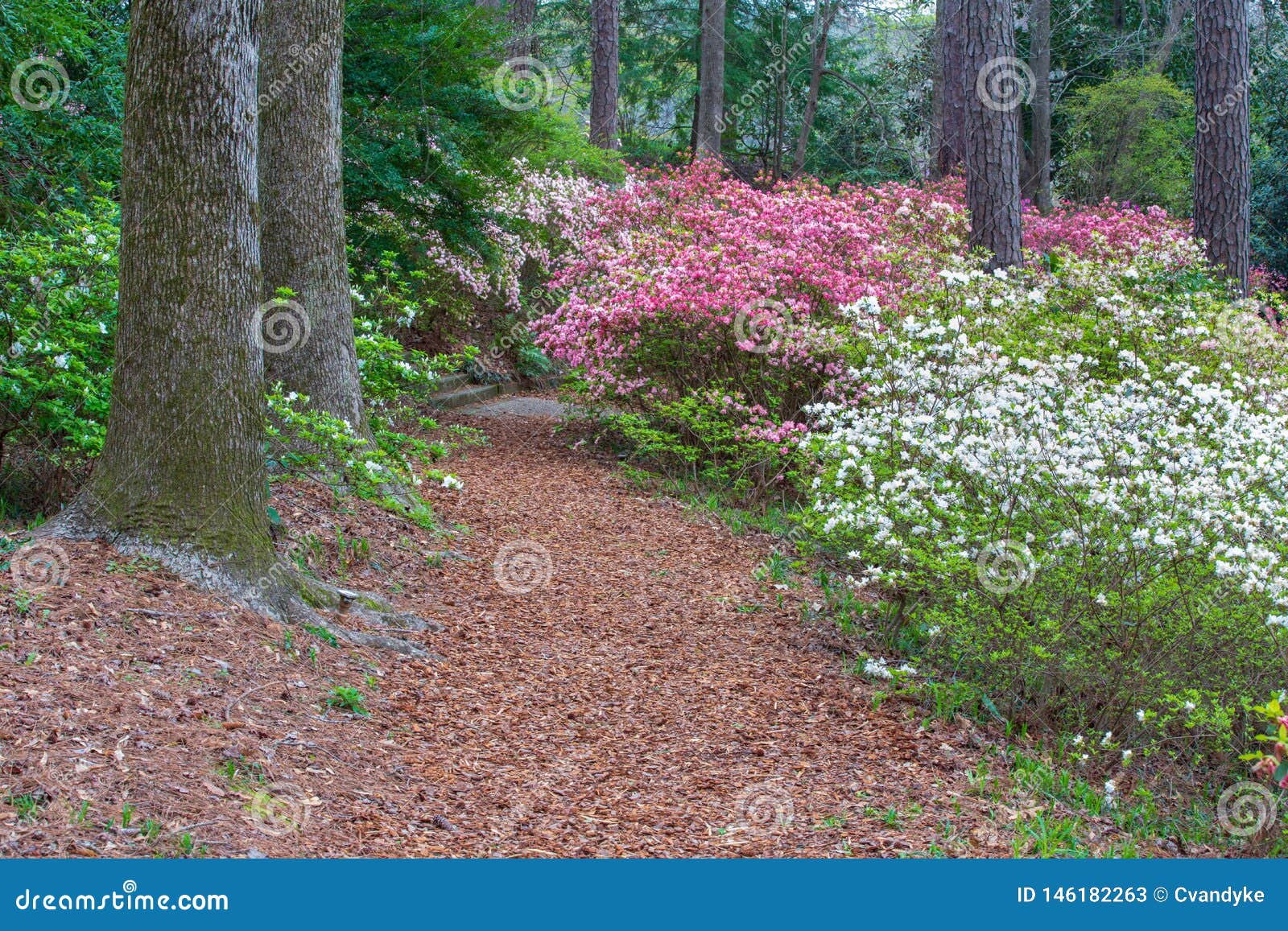 Footpath Callaway Gardens Pine Mountain Georgia Stock Image