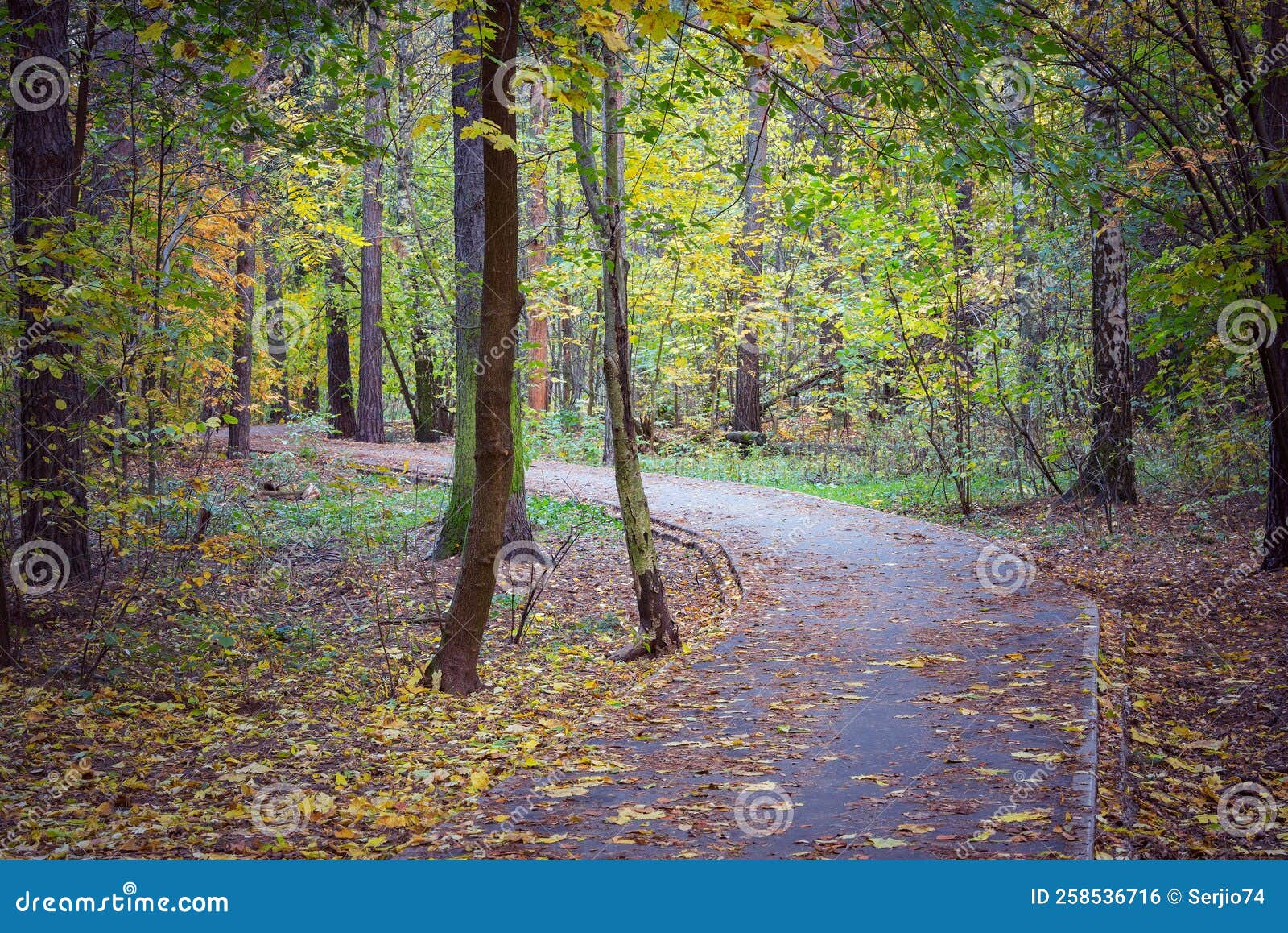 Footpath in the City Park at Autumn Evening Stock Photo - Image of ...