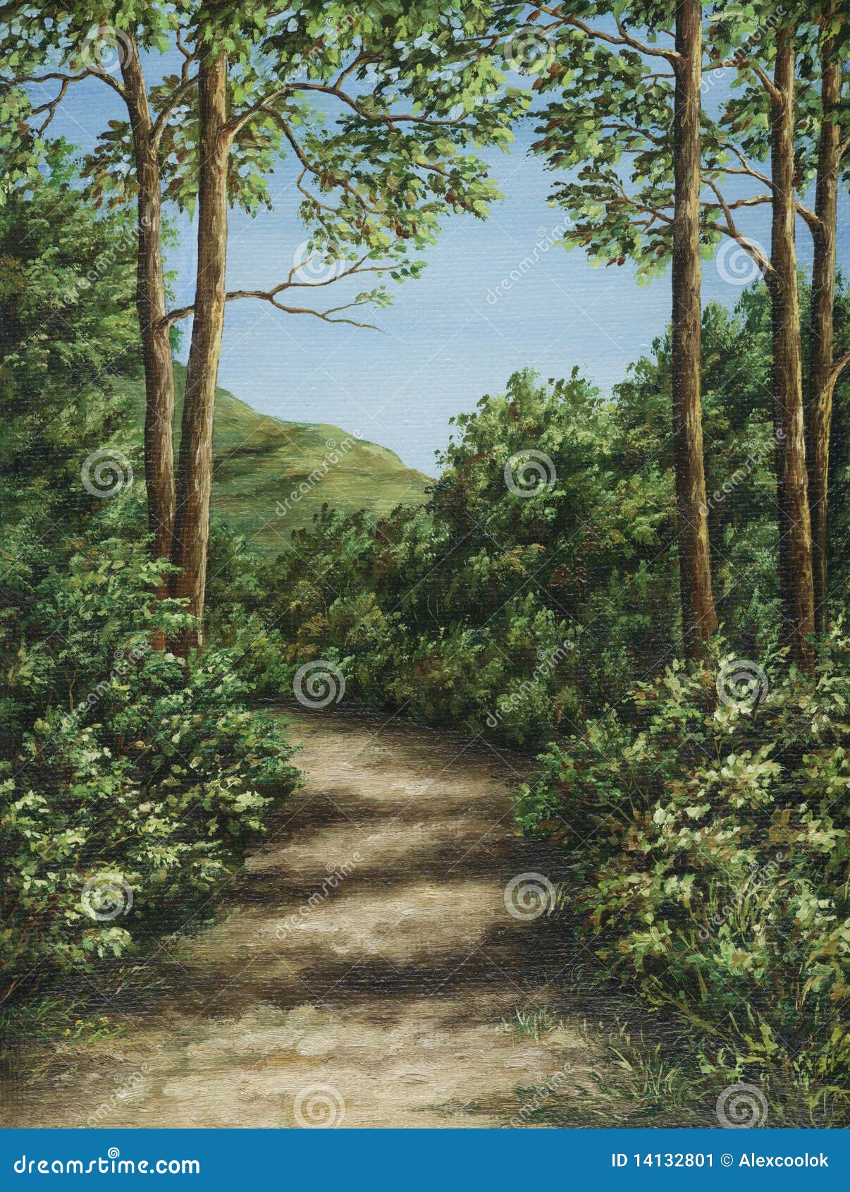 footpath in mountain wood