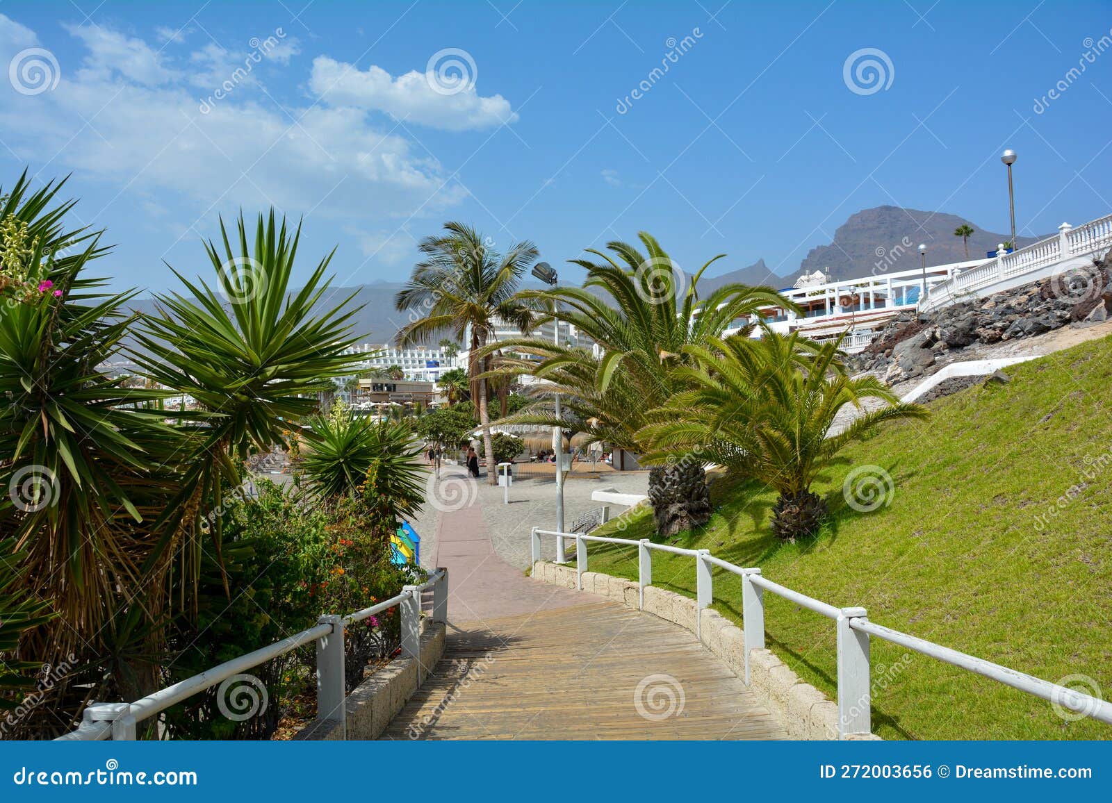 Footpath To Torviscas Playa Beach In Costa Adeje Tenerife Spain Stock Photo Image Of Coast