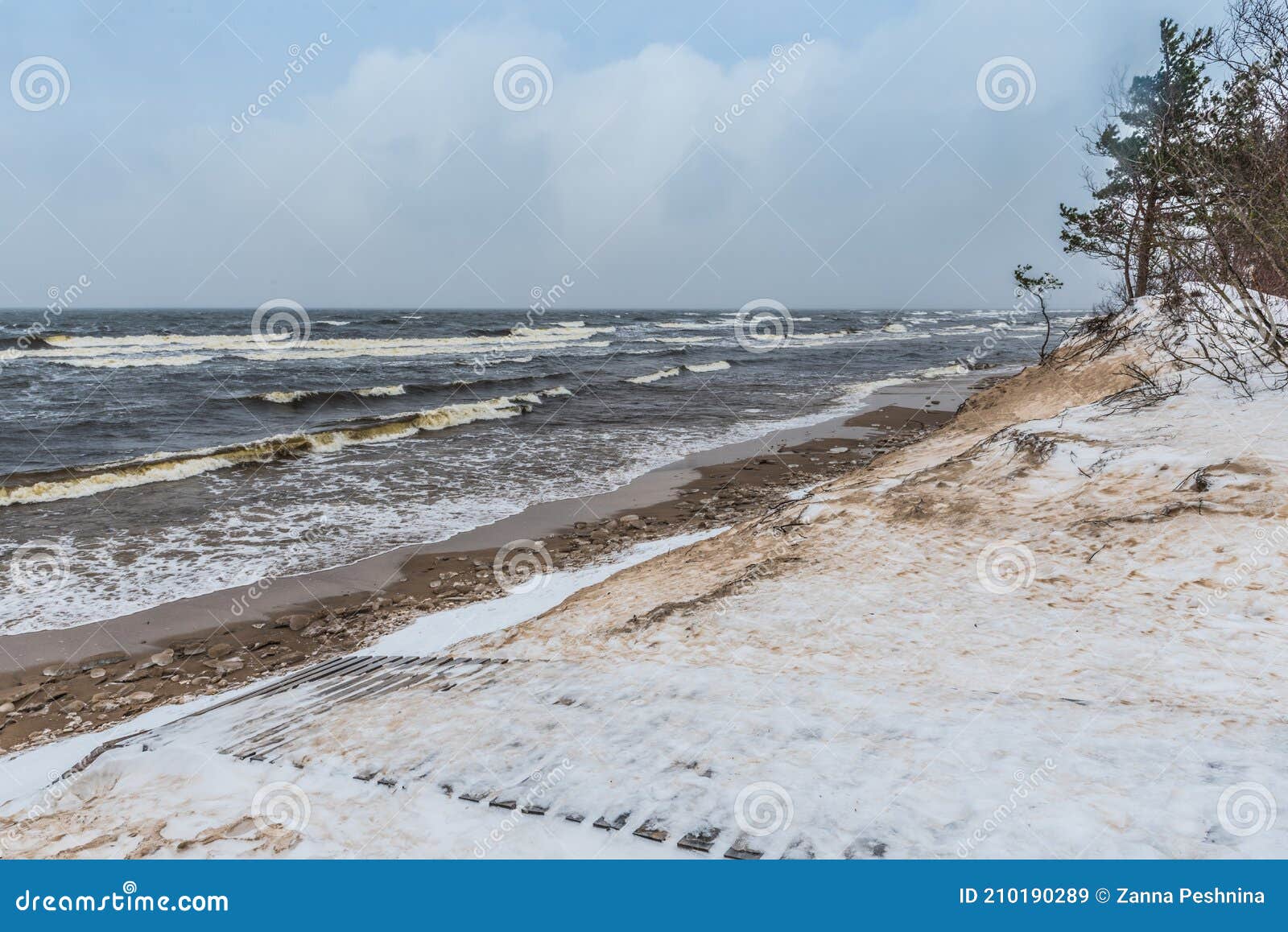 footpath between winter baltic sea s dunes in saulkrasti in latvia