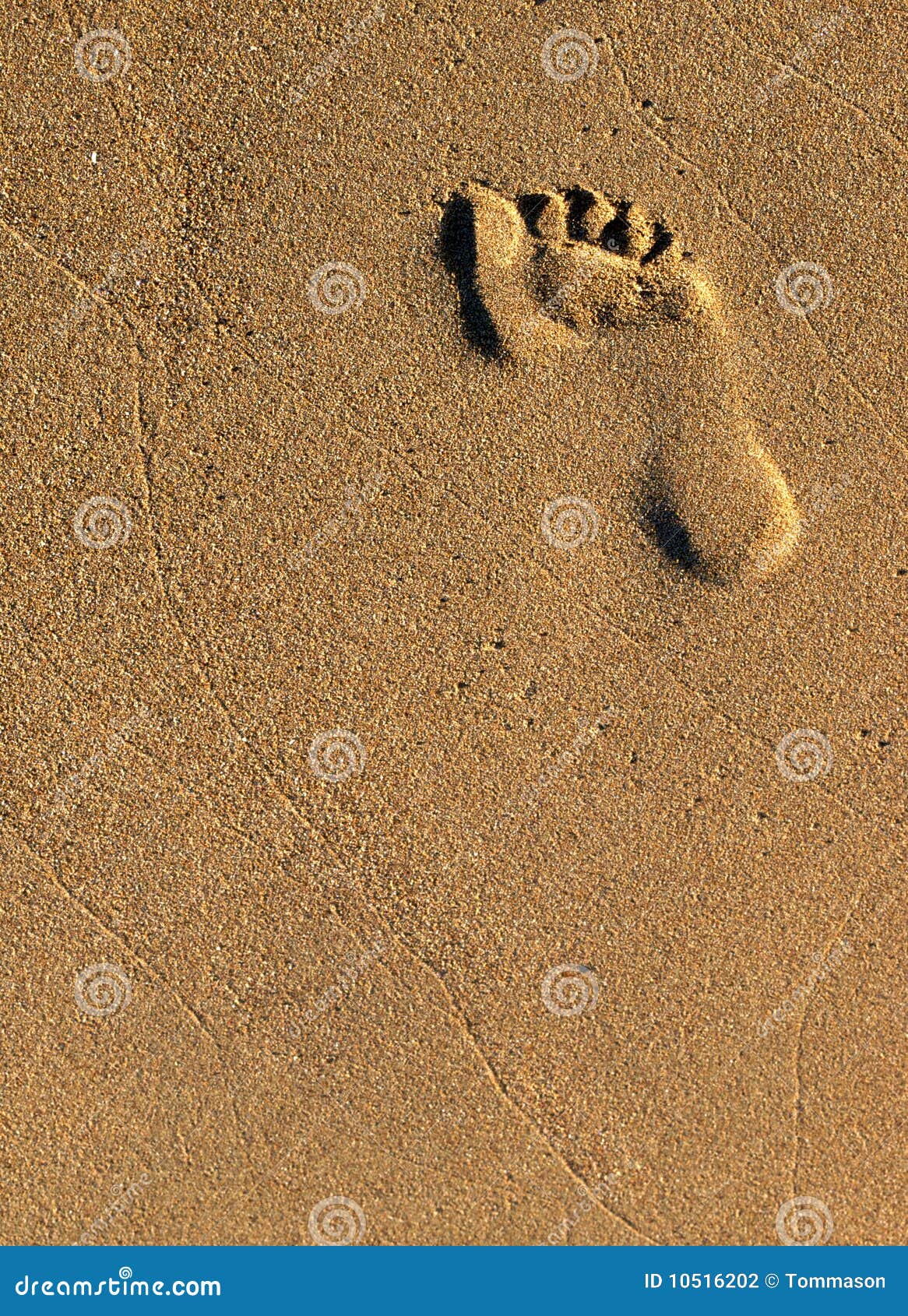 Footprint stock photo. Image of impression, footprint - 10516202