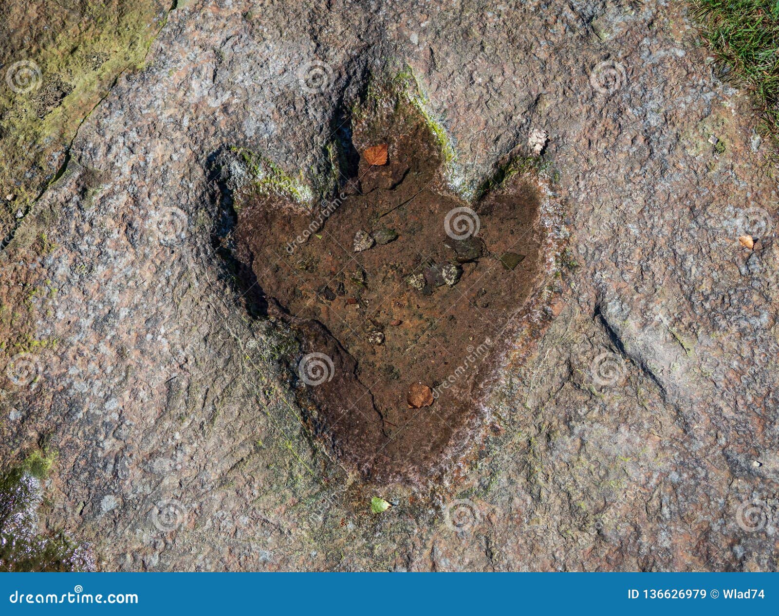 Footprint Of Dinosaur Carnotaurus On Ground Near Stream At Phu Faek