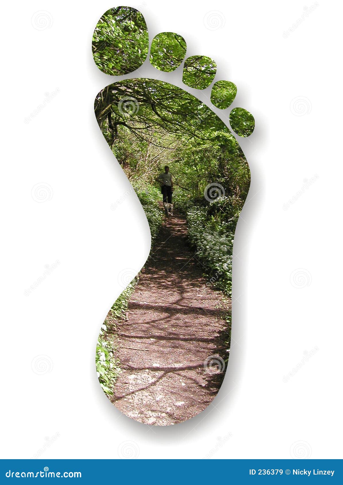 footprint of the path