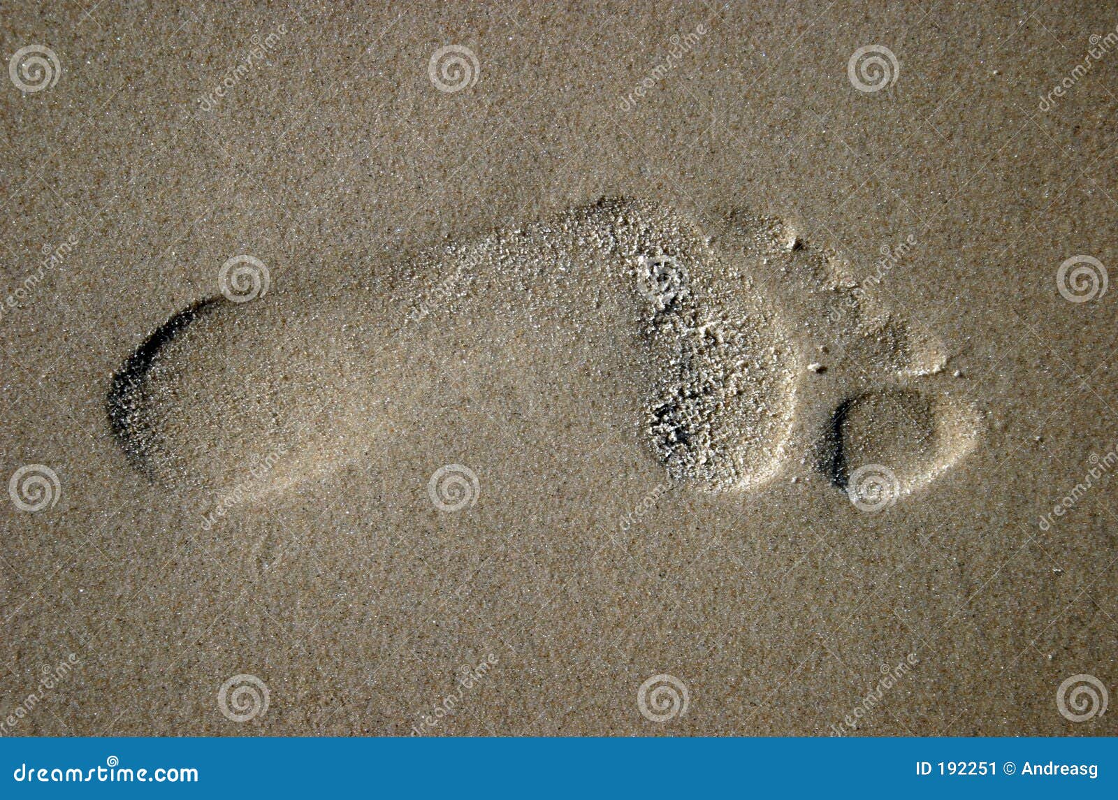 Footprint on sand stock image. Image of fingers, background - 192251