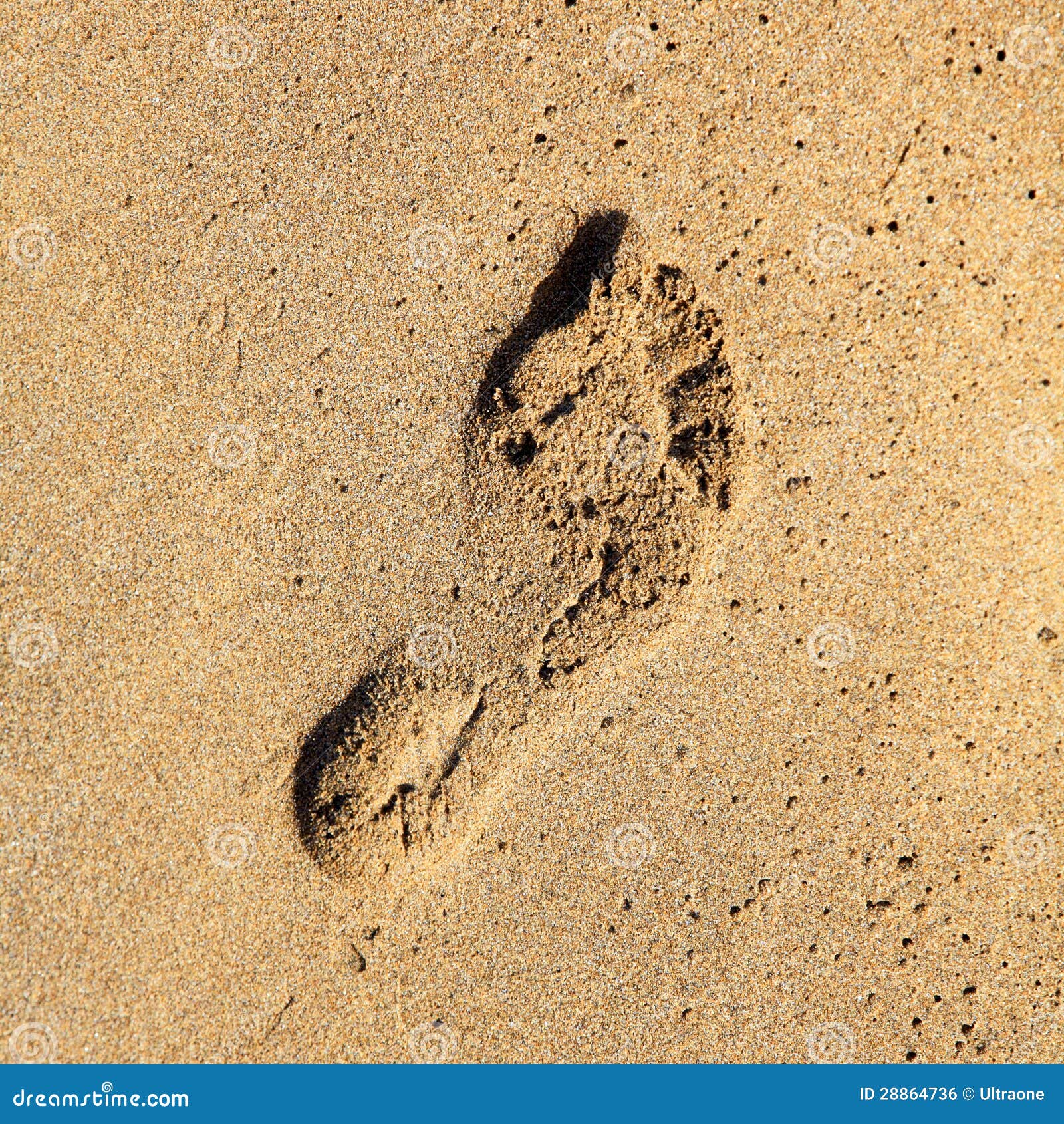 Footprint in the sand. stock photo. Image of color, closeup - 28864736