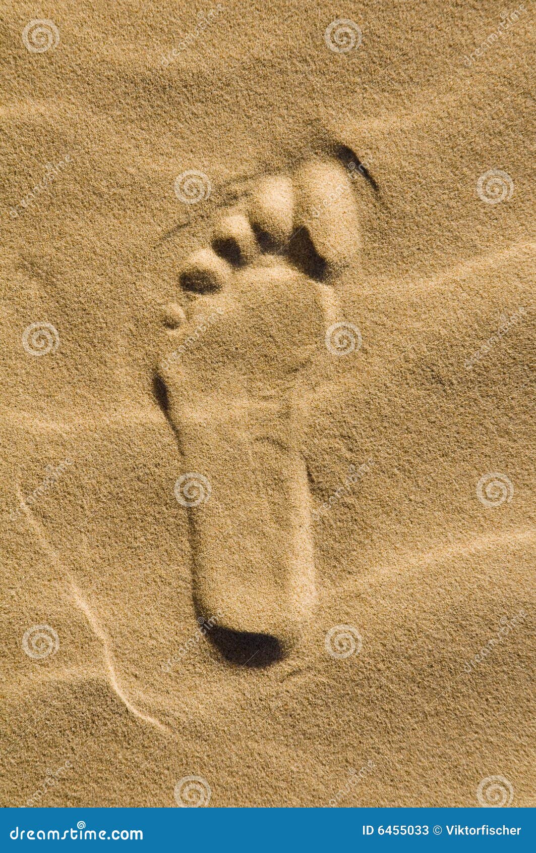 Footprint in the sand stock image. Image of dunes, concept - 6455033