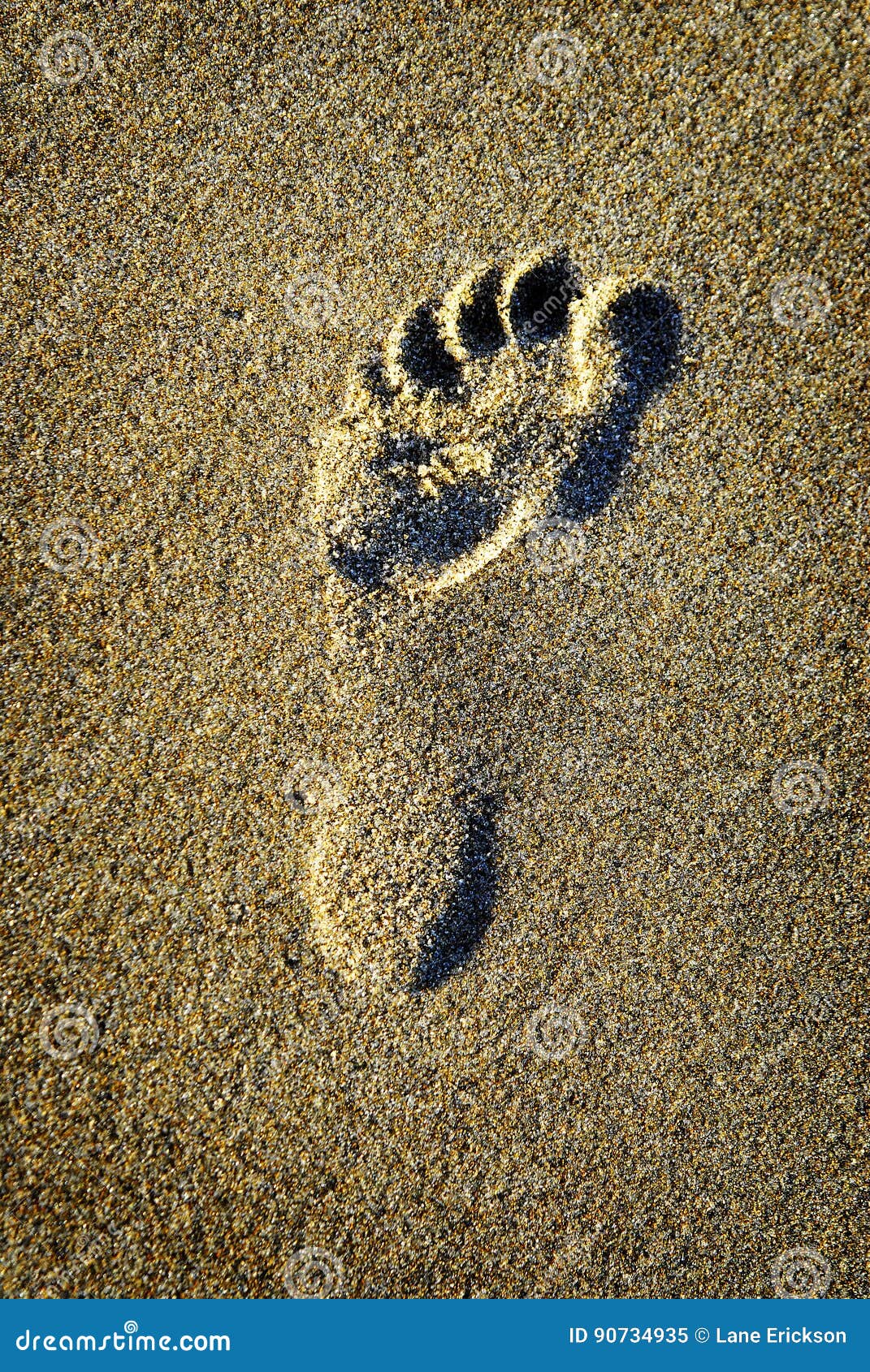 Footprint in the Sand at Beach Stock Image - Image of alone, imprint ...