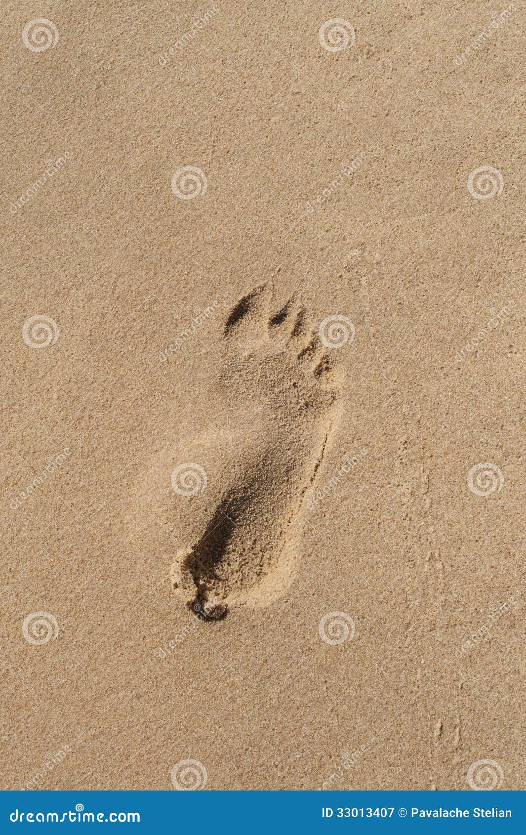 Footprint on a sea shore stock image. Image of shore - 33013407