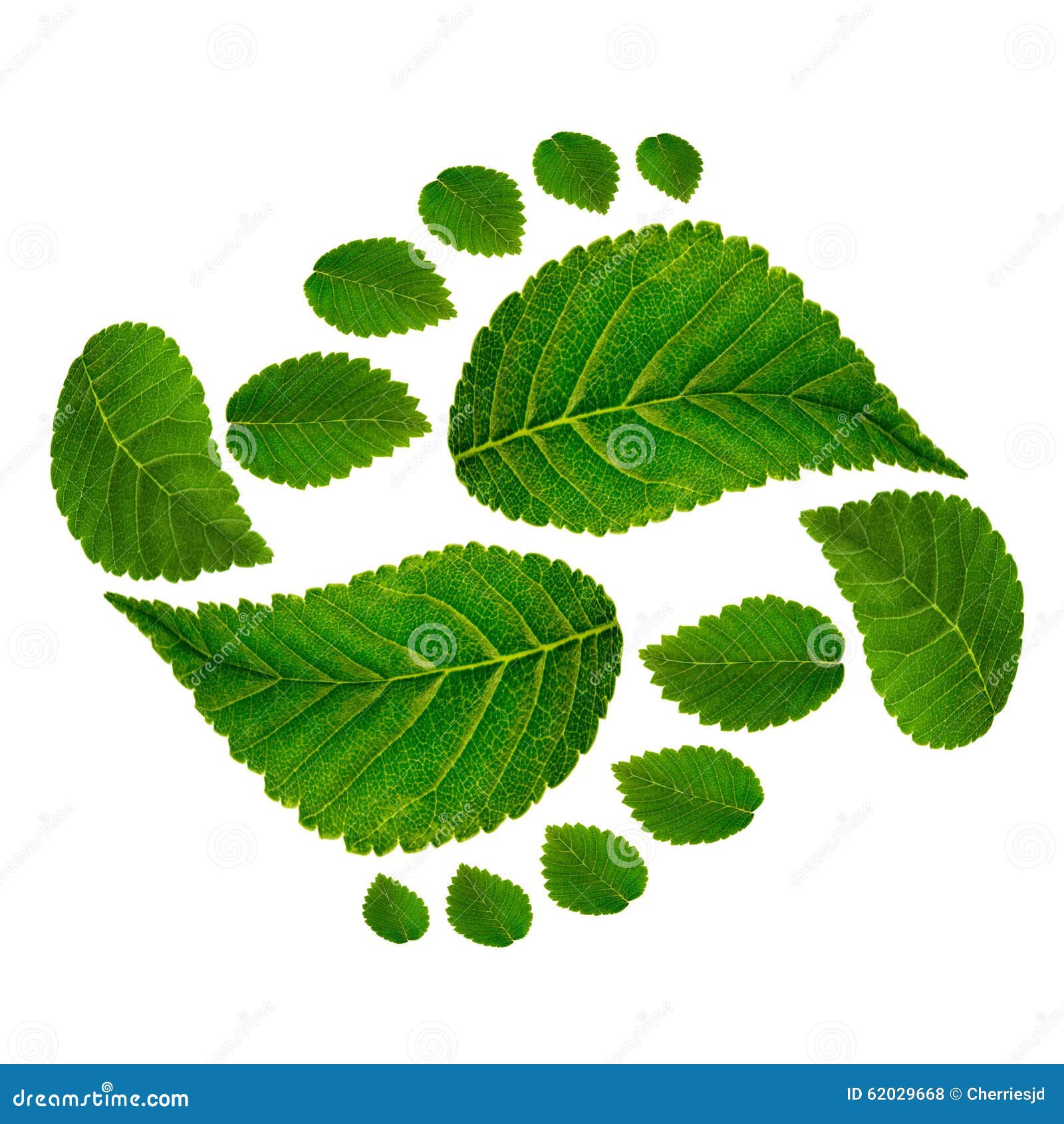 footprint ying jang sign
