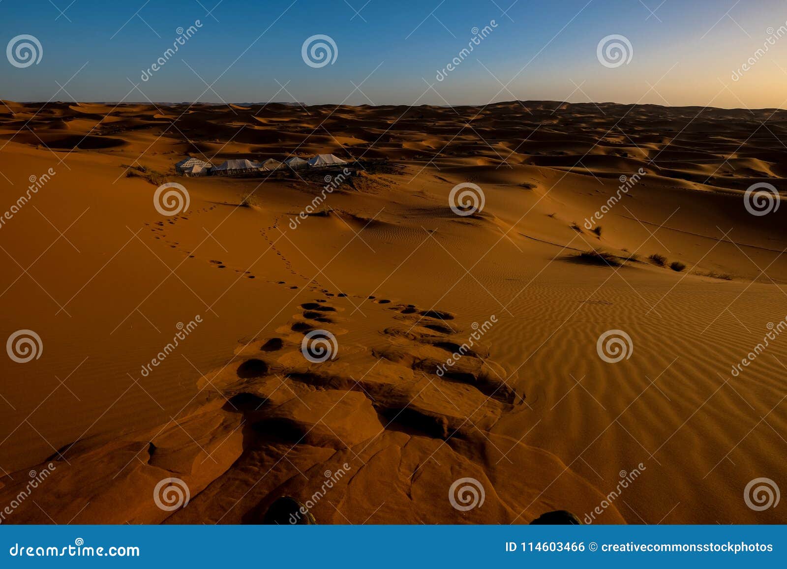 Footprints In Desert Picture Image 114603466