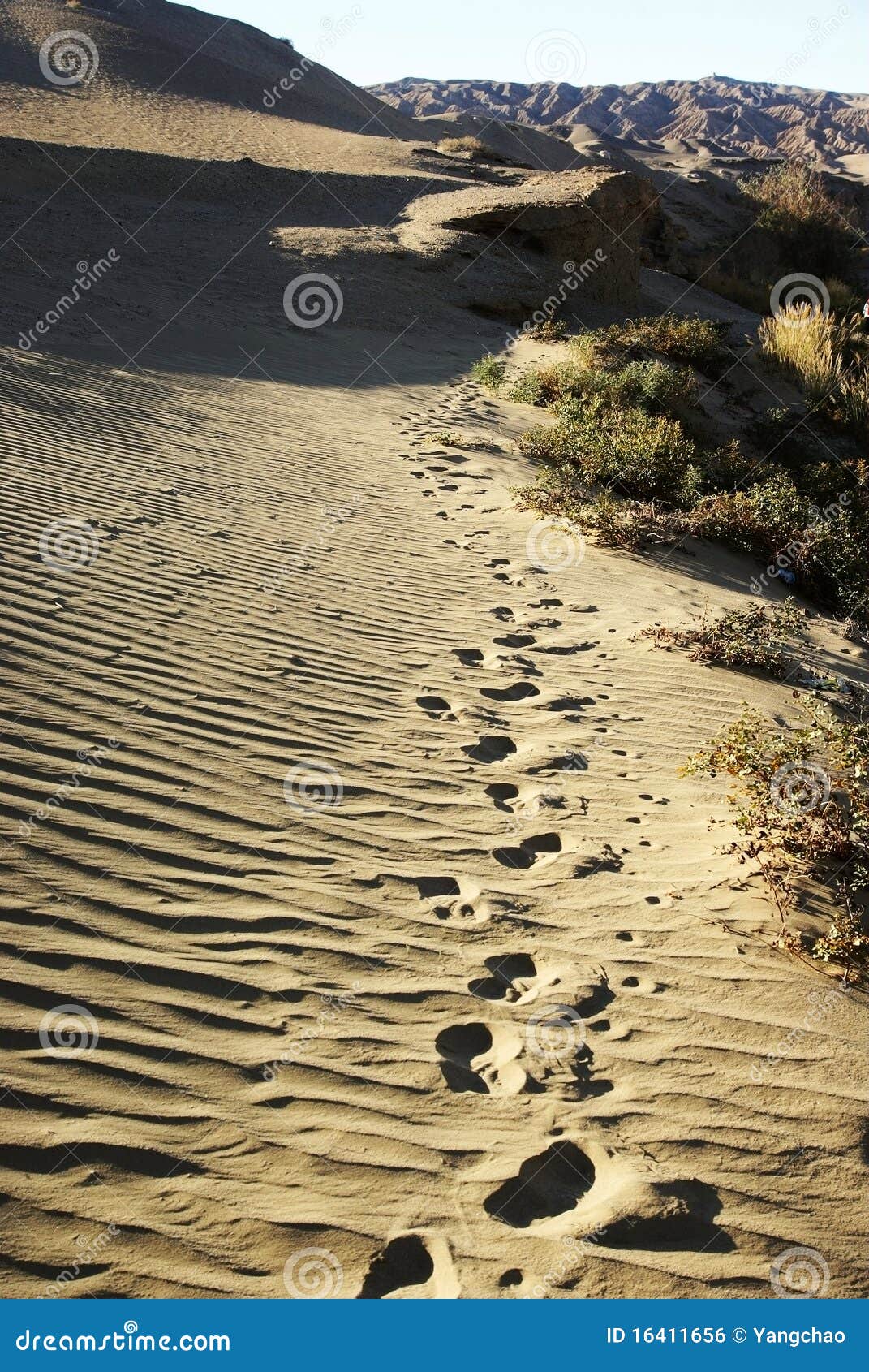 Footprints in desert stock photo. Image of deserts, fine 16411656