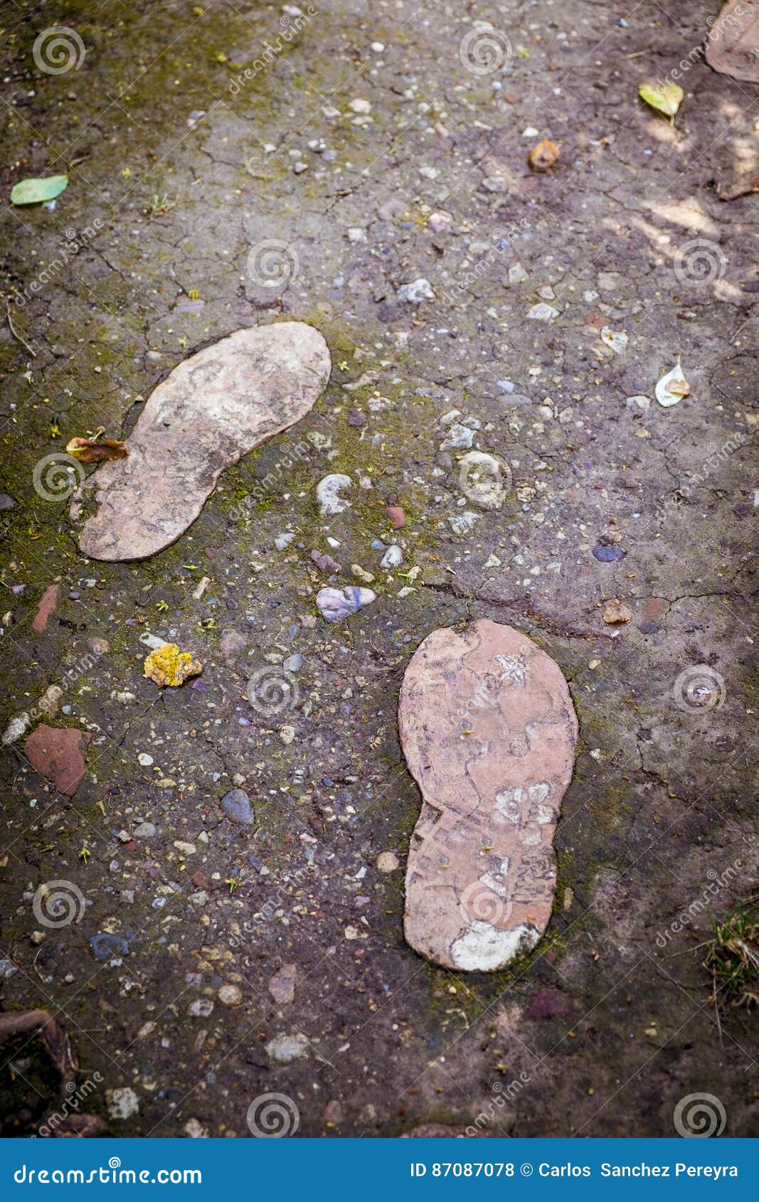 Footprints at the garden stock photo. Image of recreation 87087078