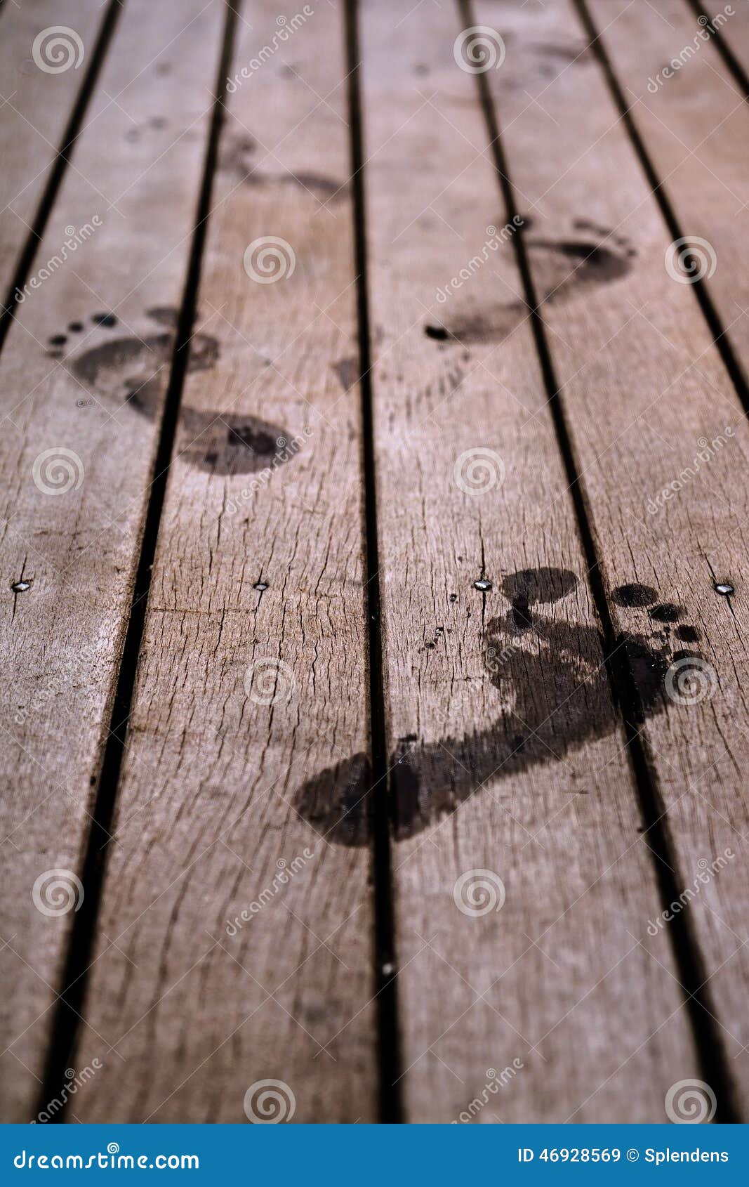Footprints stock image. Image of travel, footprint, wood 46928569