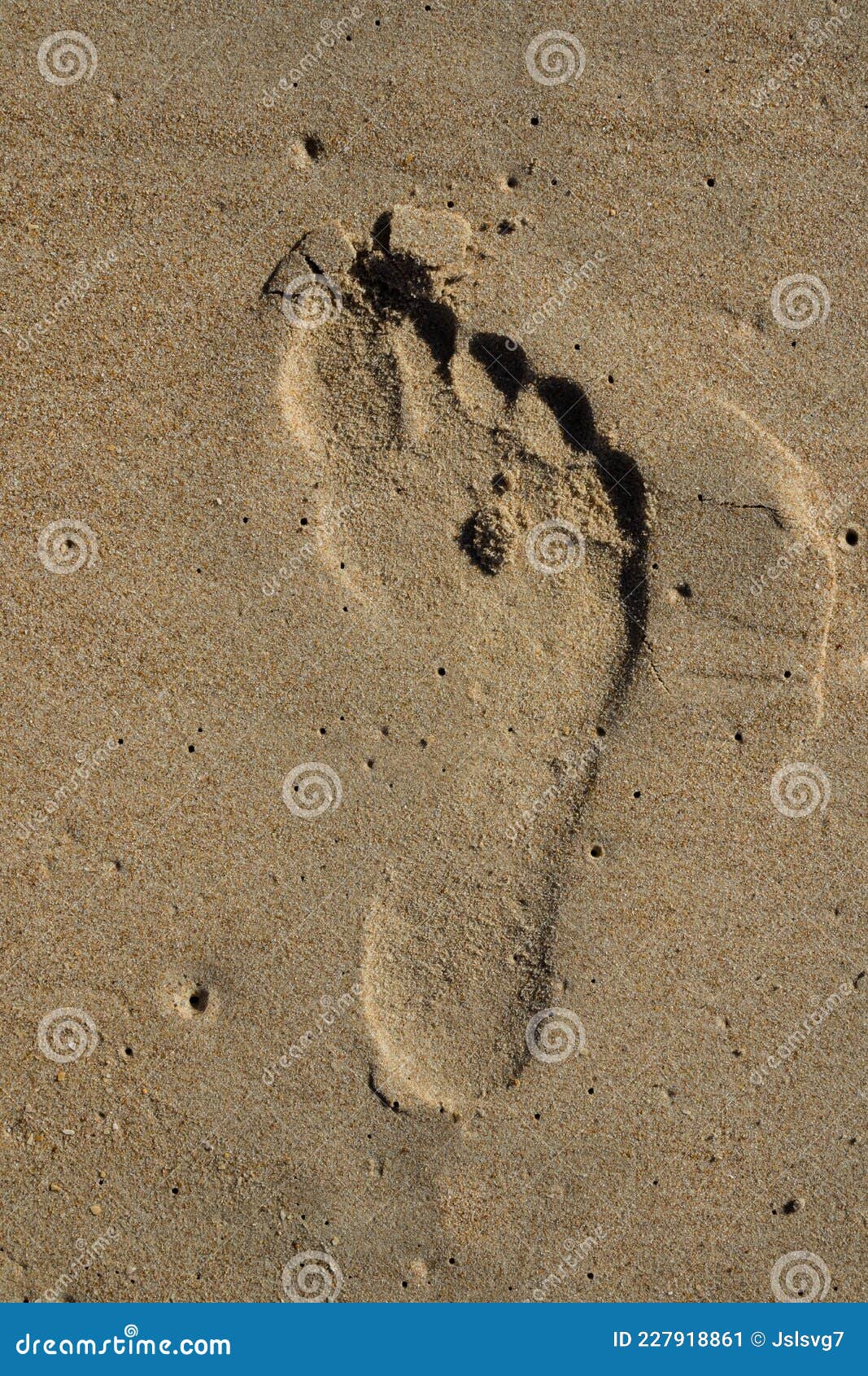 Footprints Left in the Sand on the Beach, by a Person Stock Image ...