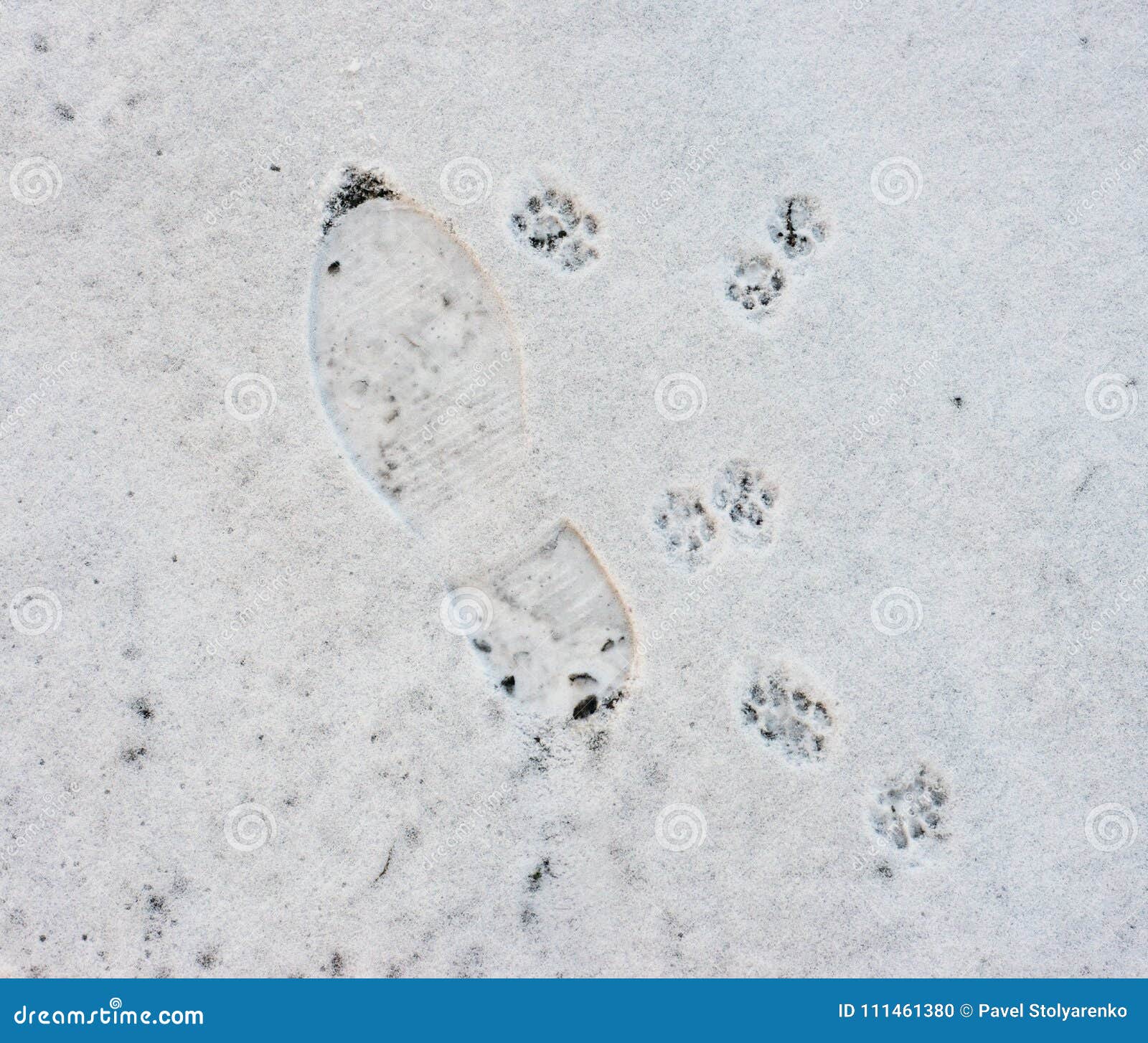 Footprints men and cat stock photo. Image of people - 111461380