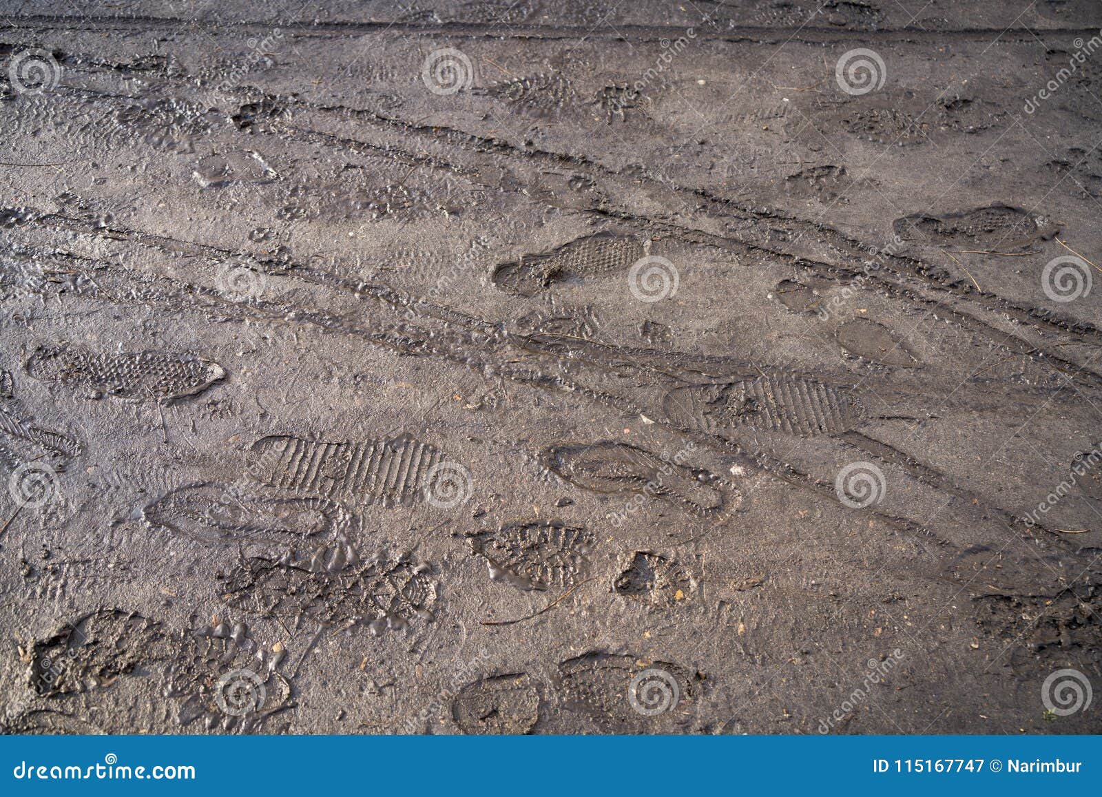 Footprints in the mud stock image. Image of footprint - 115167747
