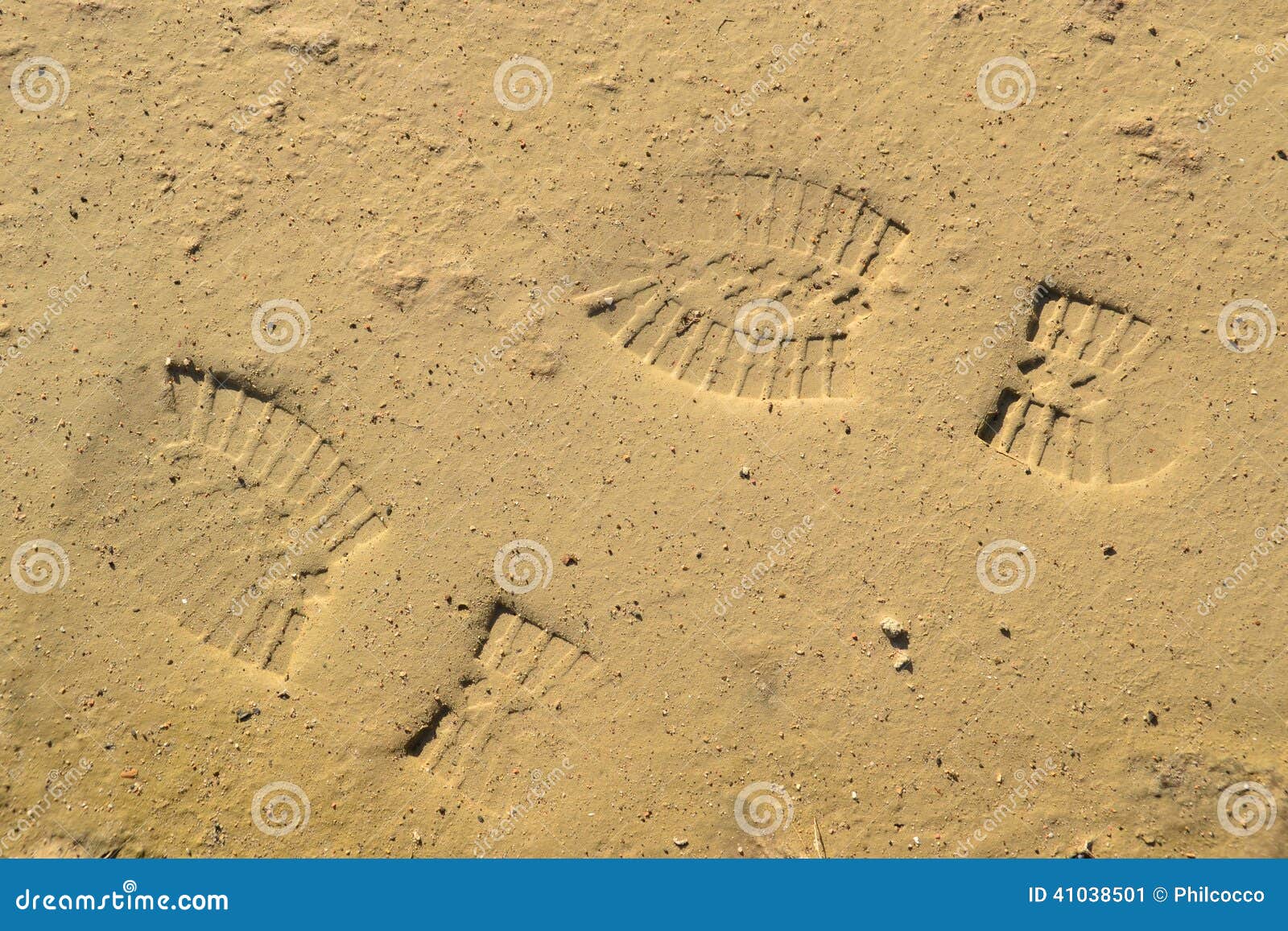 footprints on the mud