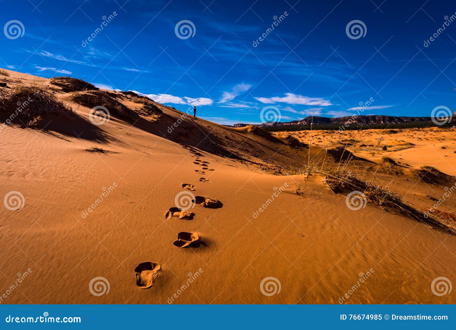 footprints in the sand. alone in the desert