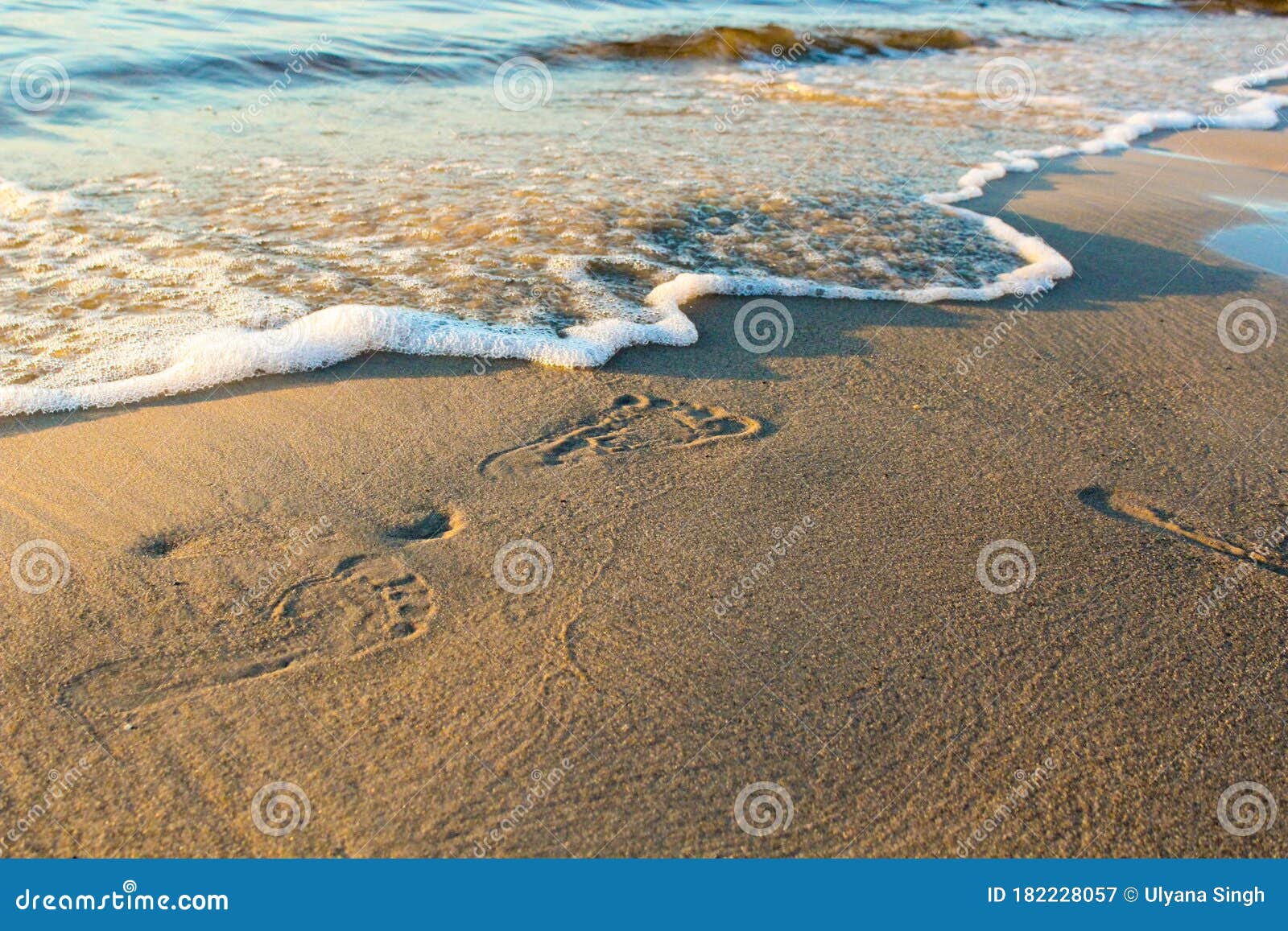 Sea Foam Close Up at the Seashore Stock Photo - Image of sandy, coast:  250414070