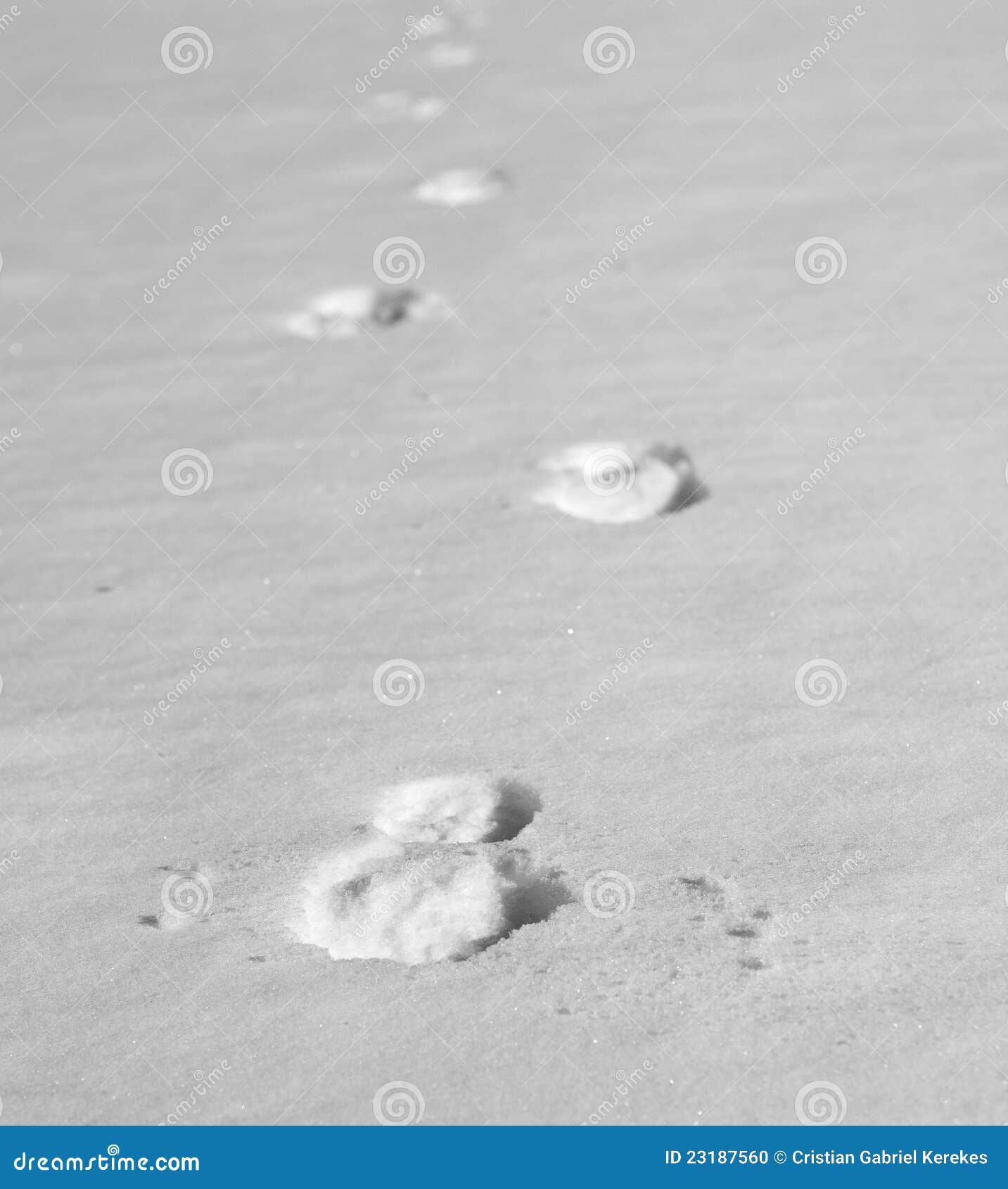 Footprints in the snow stock photo. Image of trace, north 23187560