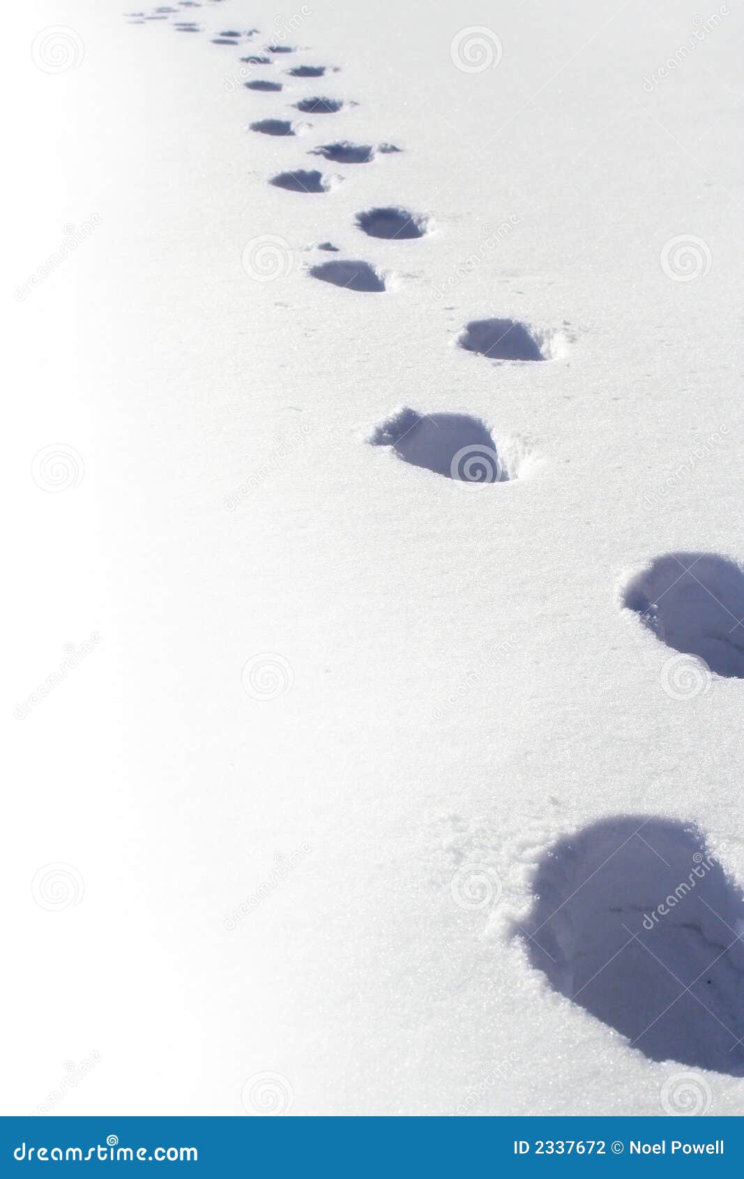 Footprints In The Snow. Winter Snow Background RoyaltyFree Stock