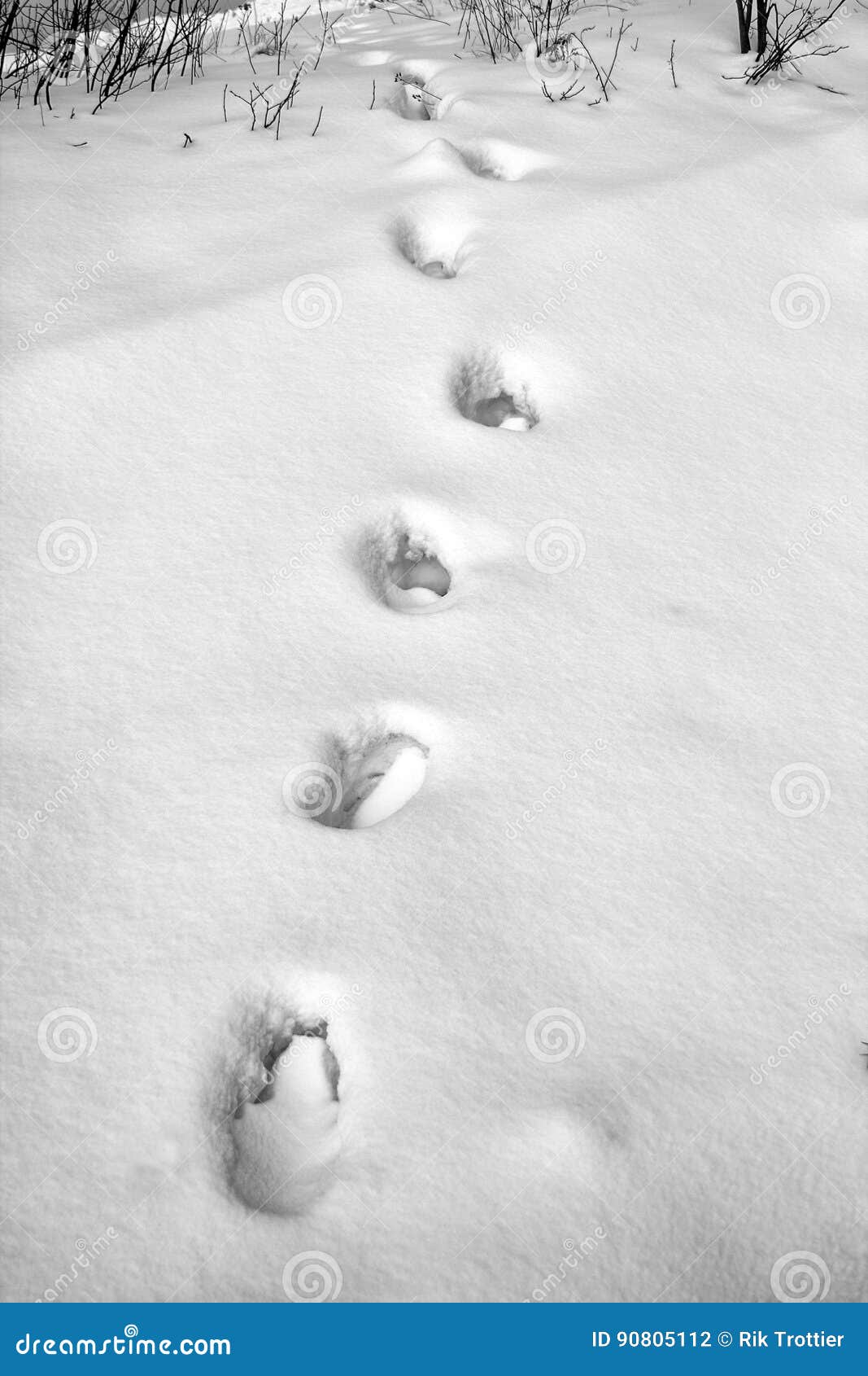 Footprints in snow stock photo. Image of winter, deep 90805112