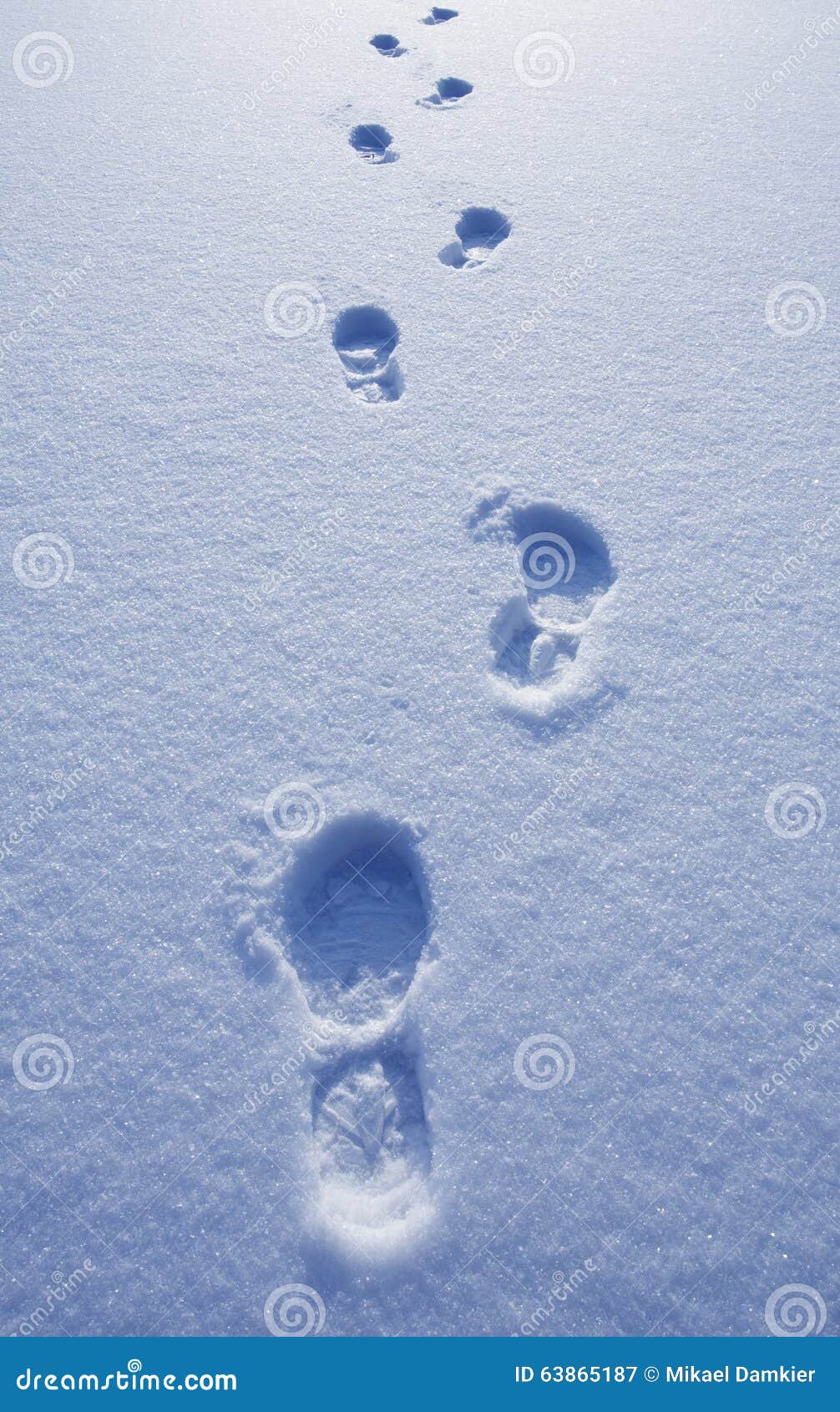Footprints in snow stock image. Image of layer, background 63865187