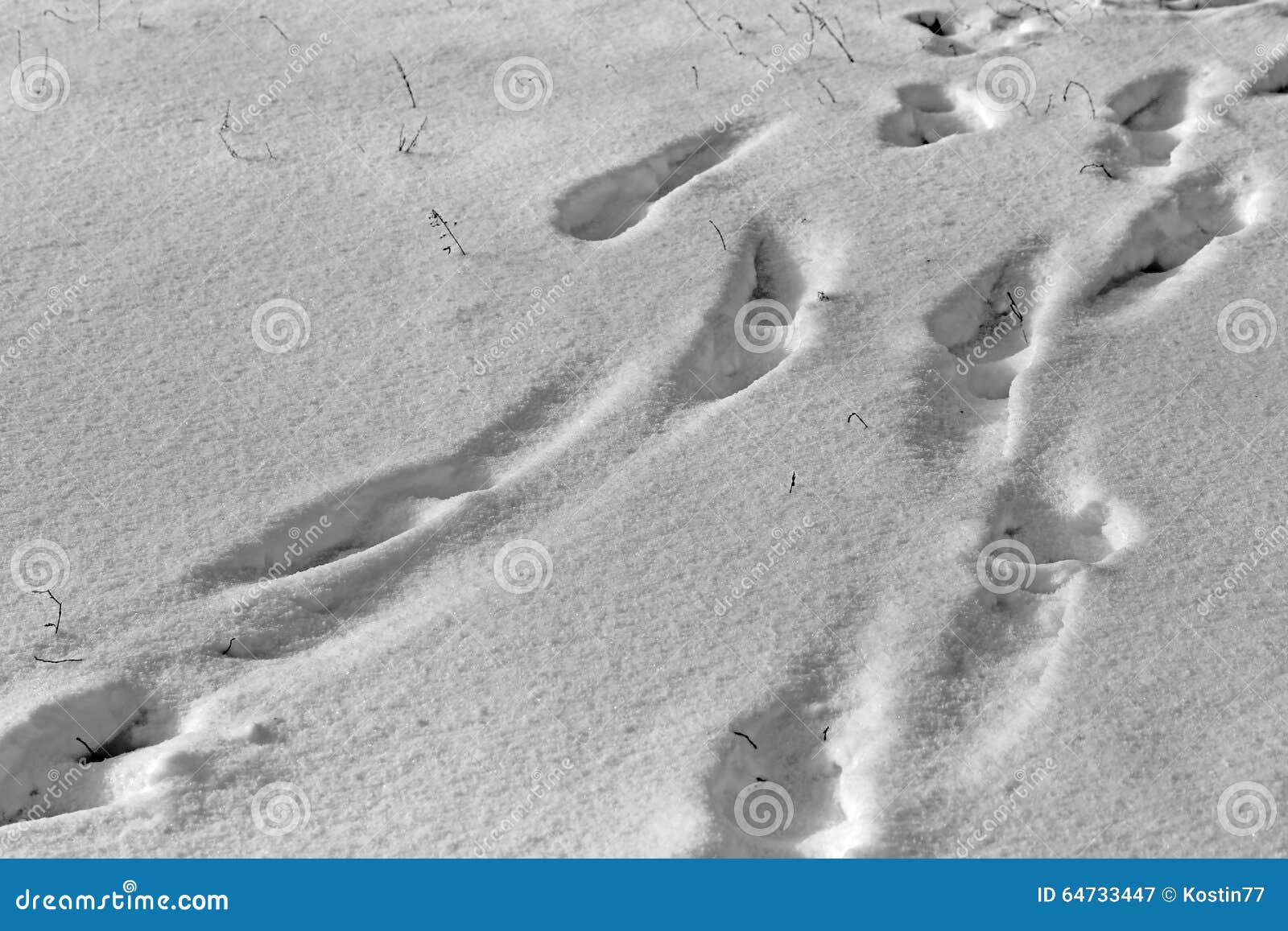 Footprints in the snow stock image. Image of freeze, imprint 64733447