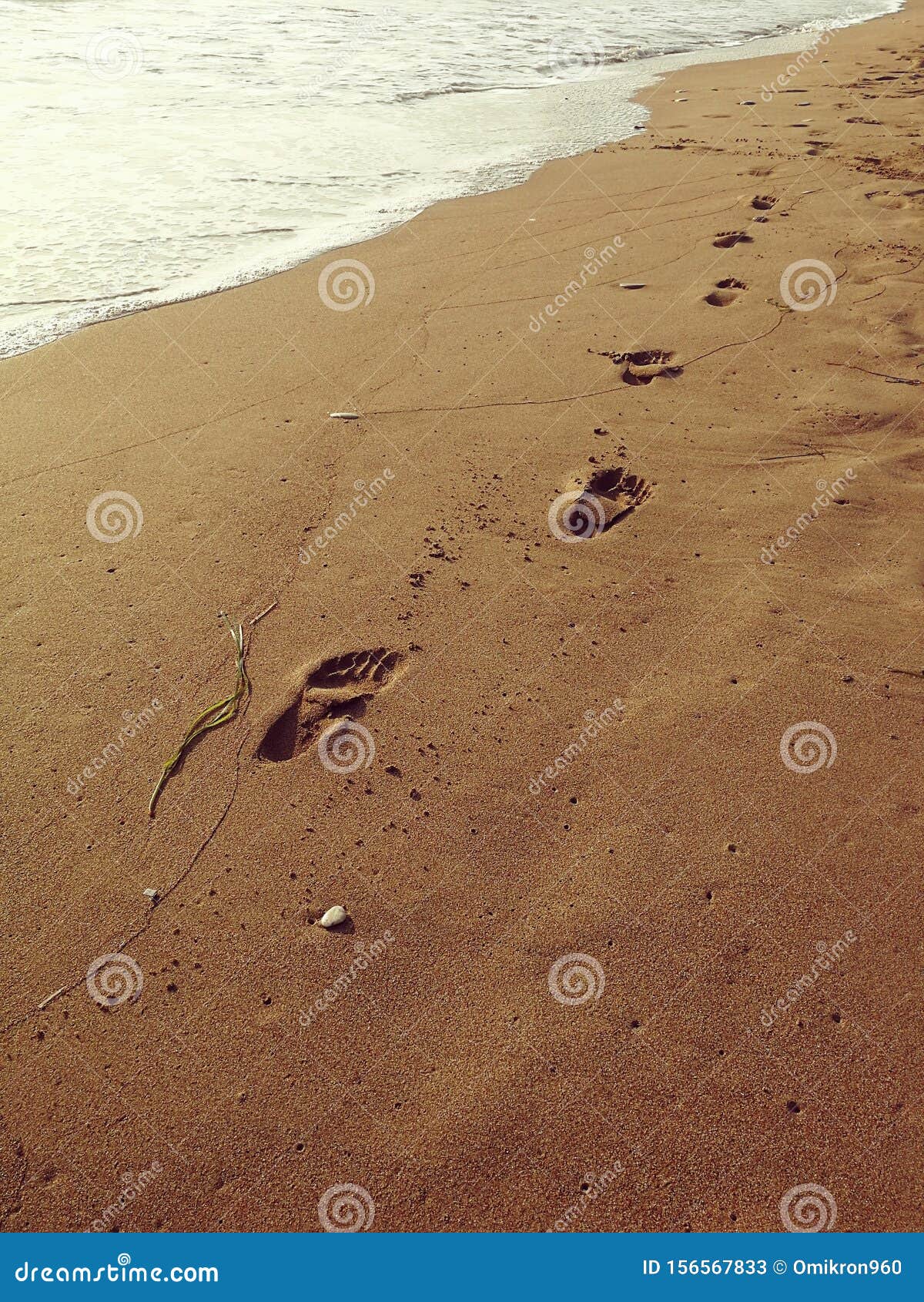 footprints in the sand as the tide recedes