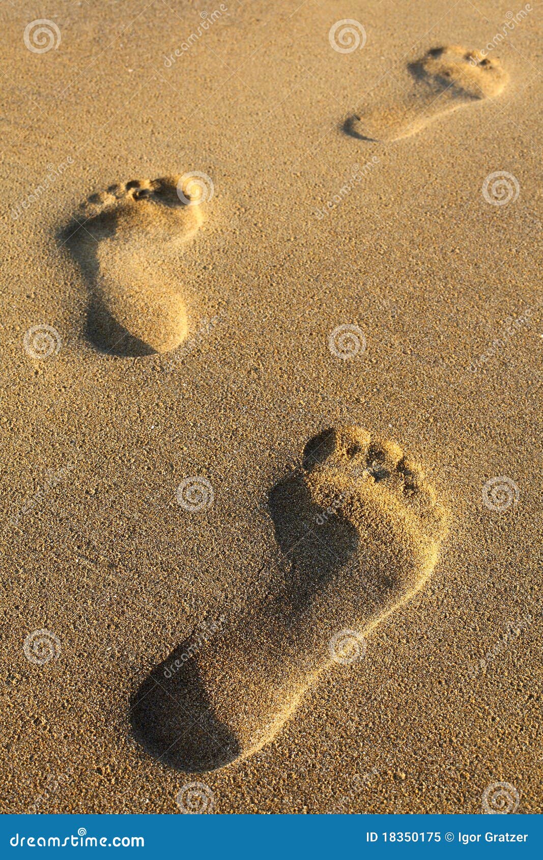 Footsteps stock image Image of sandy relax outdoor 18350175