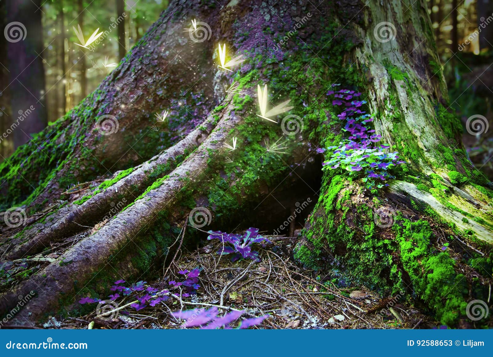 Foret Magique Image Stock Image Du Feuillage Route
