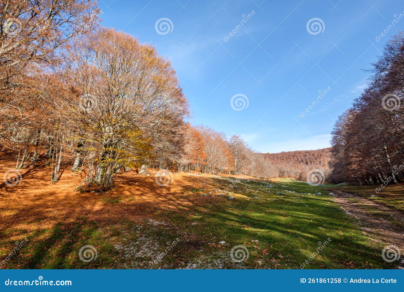 forca d`acero, abruzzo national park, italy