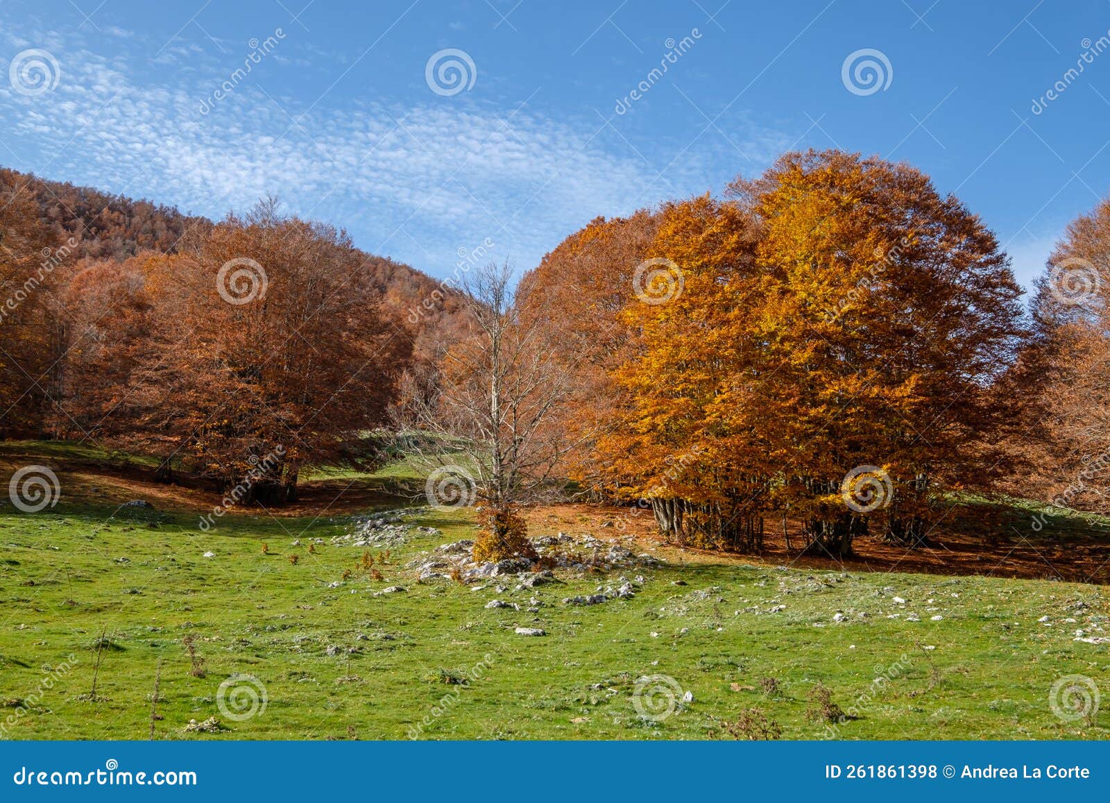 forca d`acero, abruzzo national park, italy