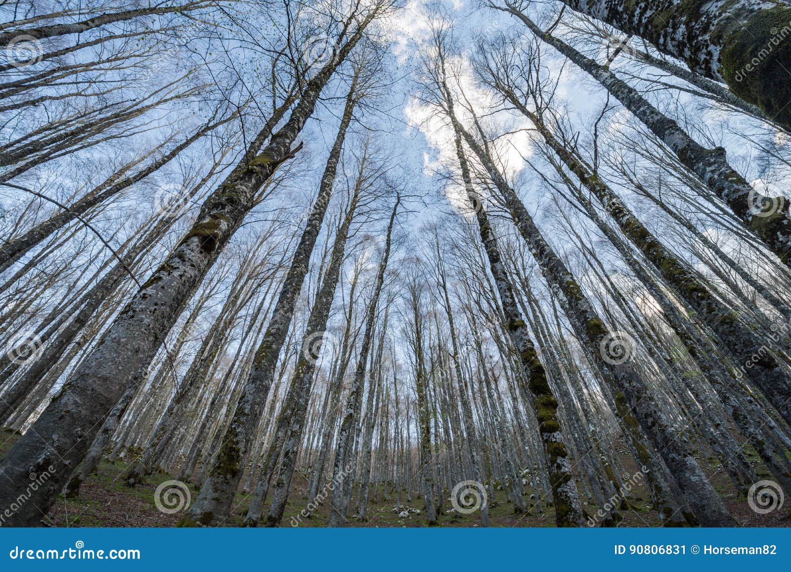 forca d`acero, access to parco nazionale d`abruzzo, italy