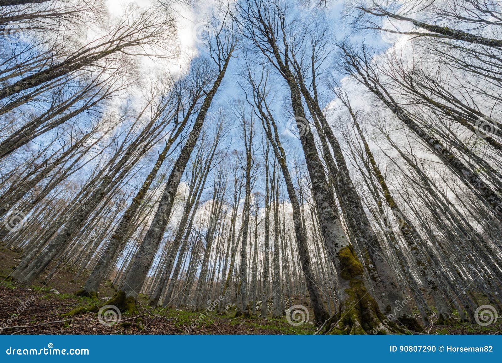 forca d`acero, access to parco nazionale d`abruzzo, italy