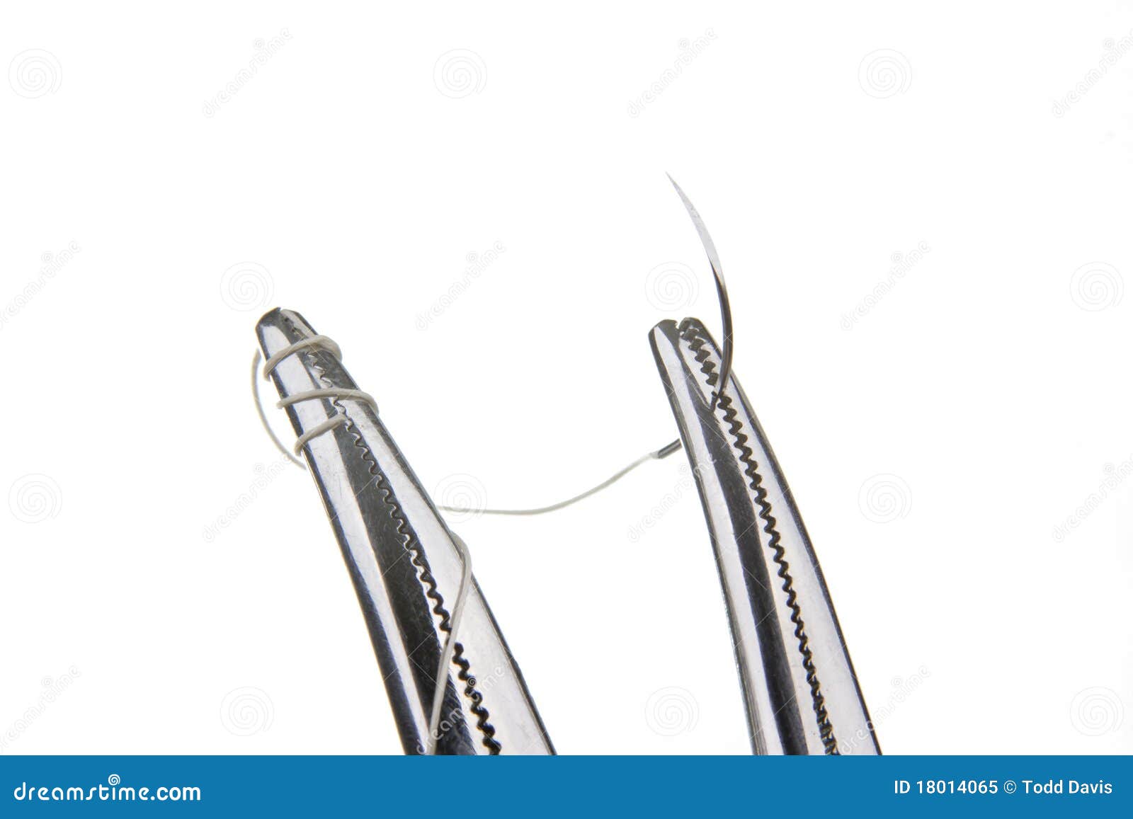 Forcipe Veterinario In Acciaio Chirurgico Rochester, Curvo O - Foto 6