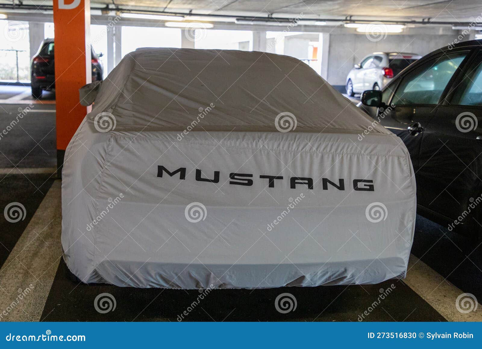 Ford Mustang Logo Marque Et Signe Texte Sport Sur La Couverture De