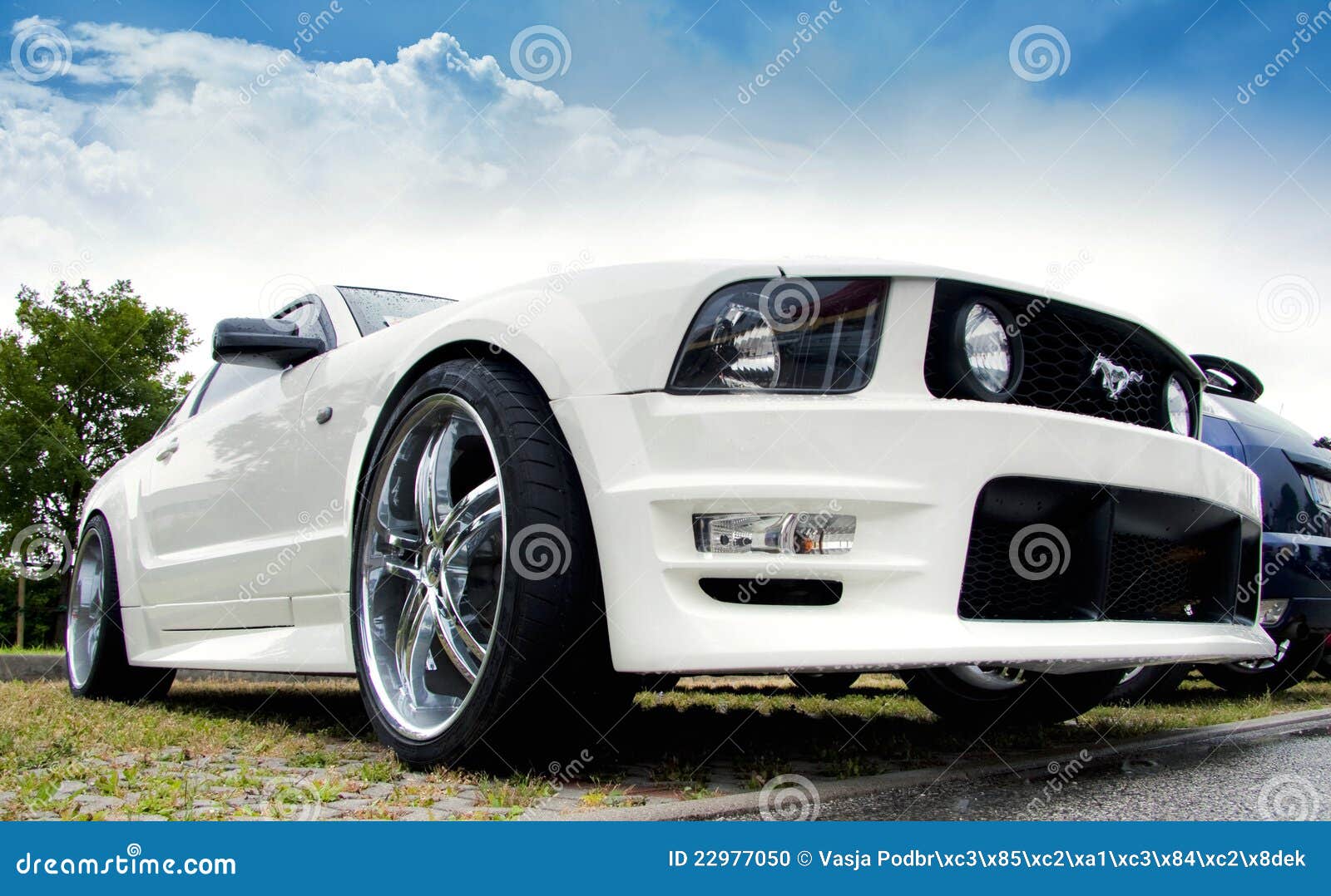 Ford Mustang Shelby Stock Photos - 3,033 Images