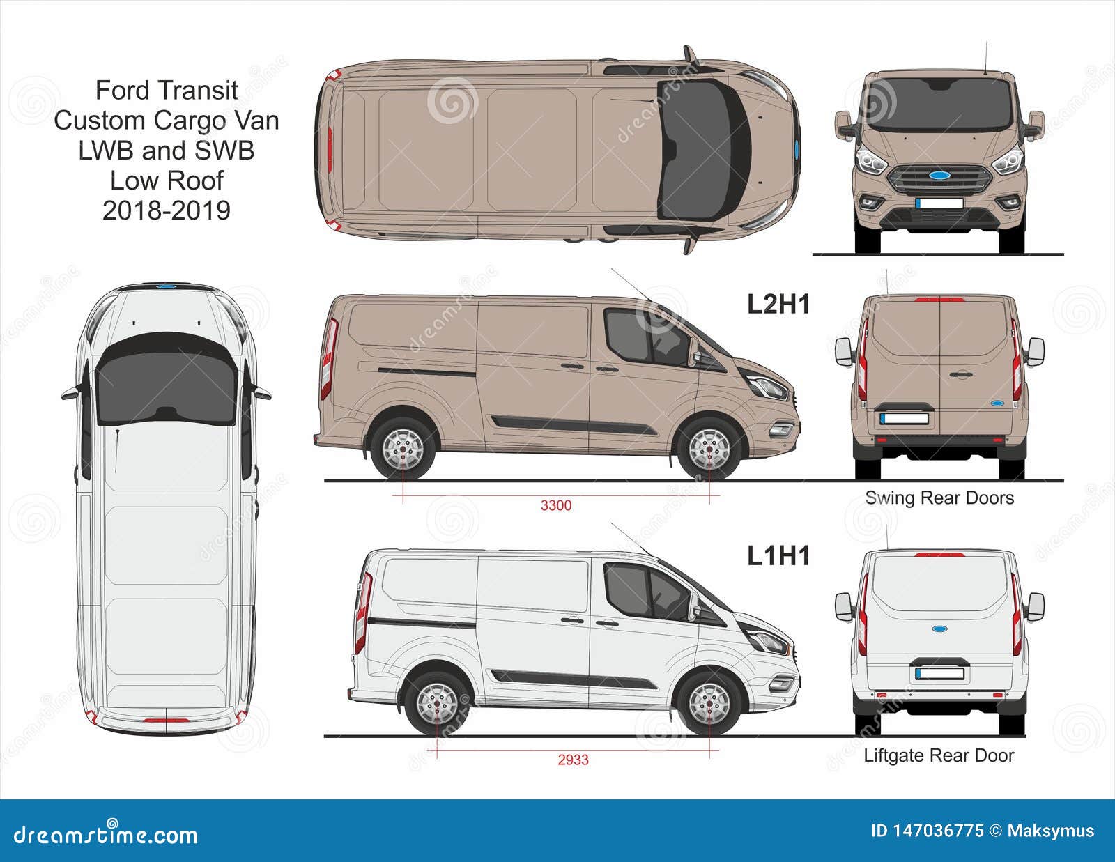 custom cargo van