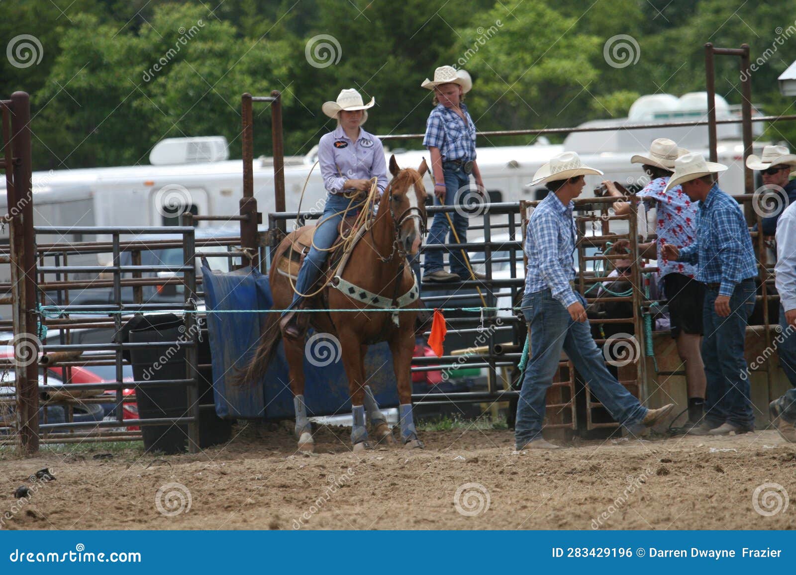 Fordland Rodeo 2023 LXIII editorial photo. Image of german 283429196