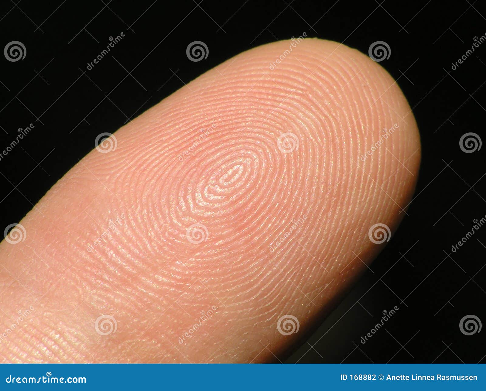 forefinger