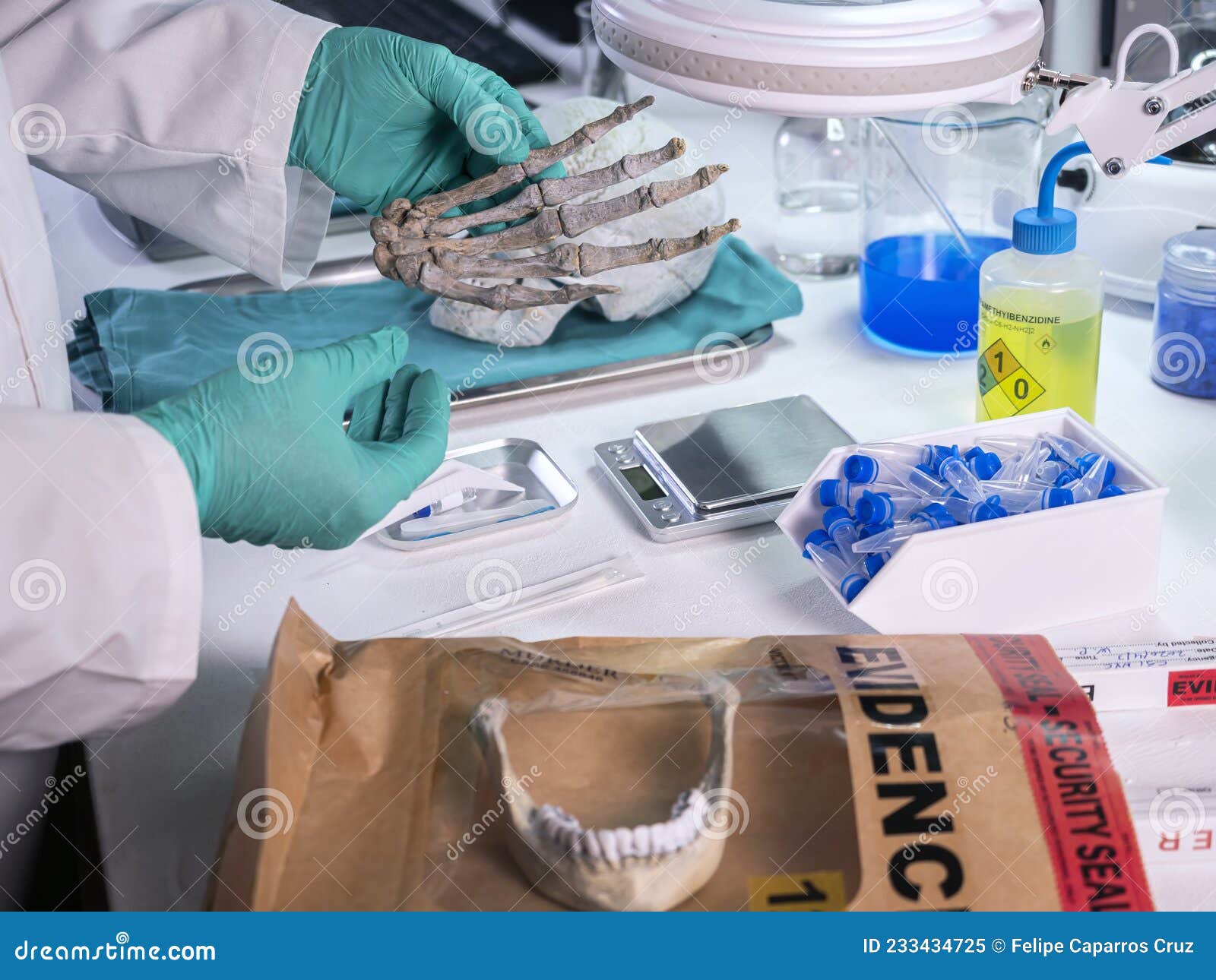 Forensic Scientist Investigates Hand of Adult Skeleton in a Crime Lab