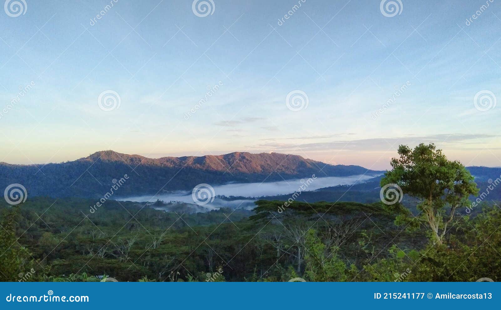 forest above clouds in letefoho, timor-leste.