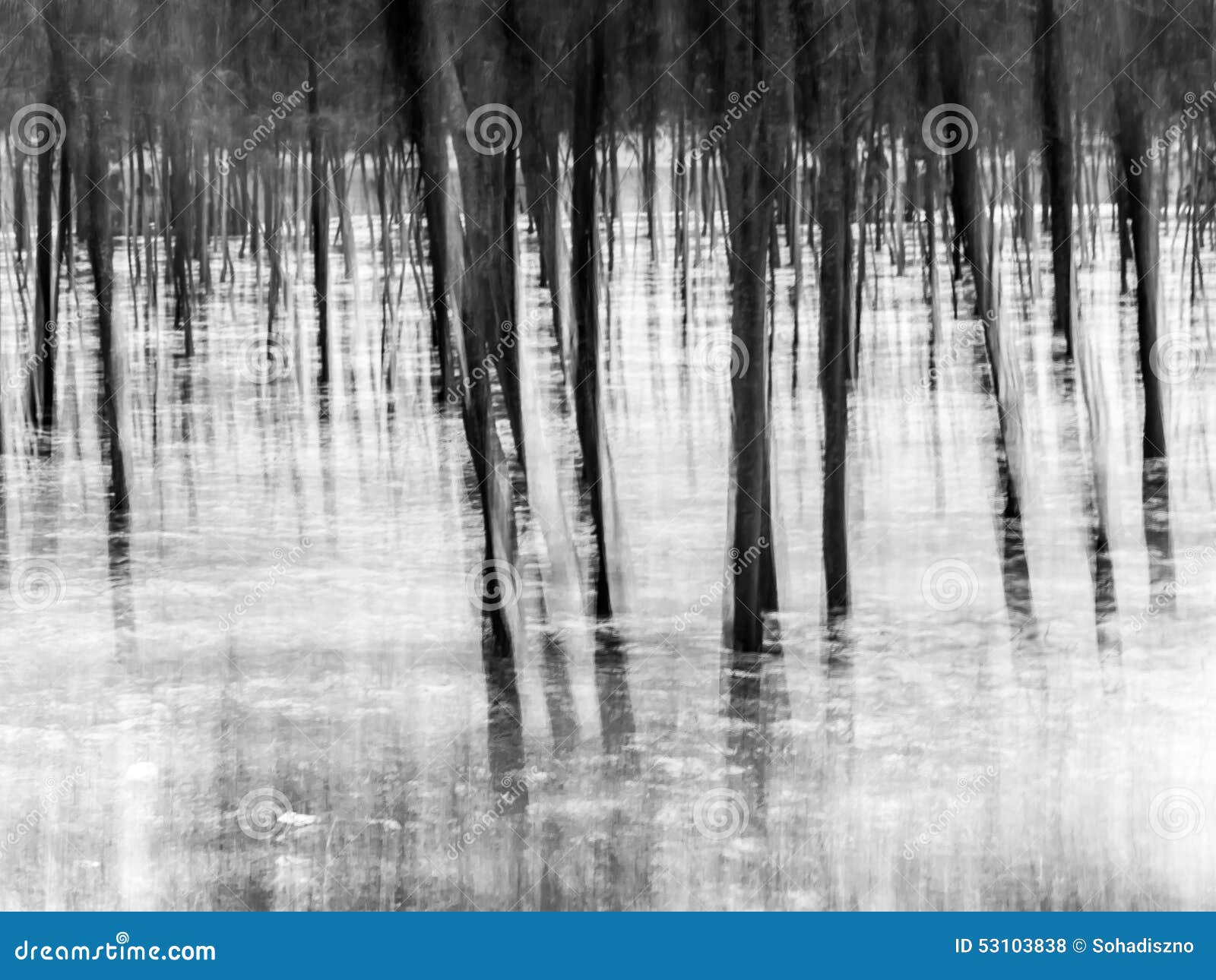 Forest abstract background stock photo. Image of woods 53103838