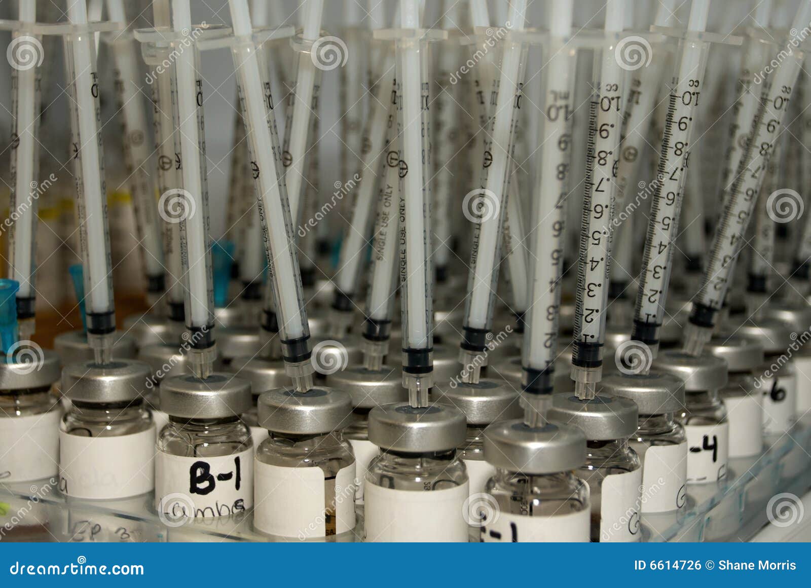 Forest of Allergy Injections Stock Photo Image of sublingual, health