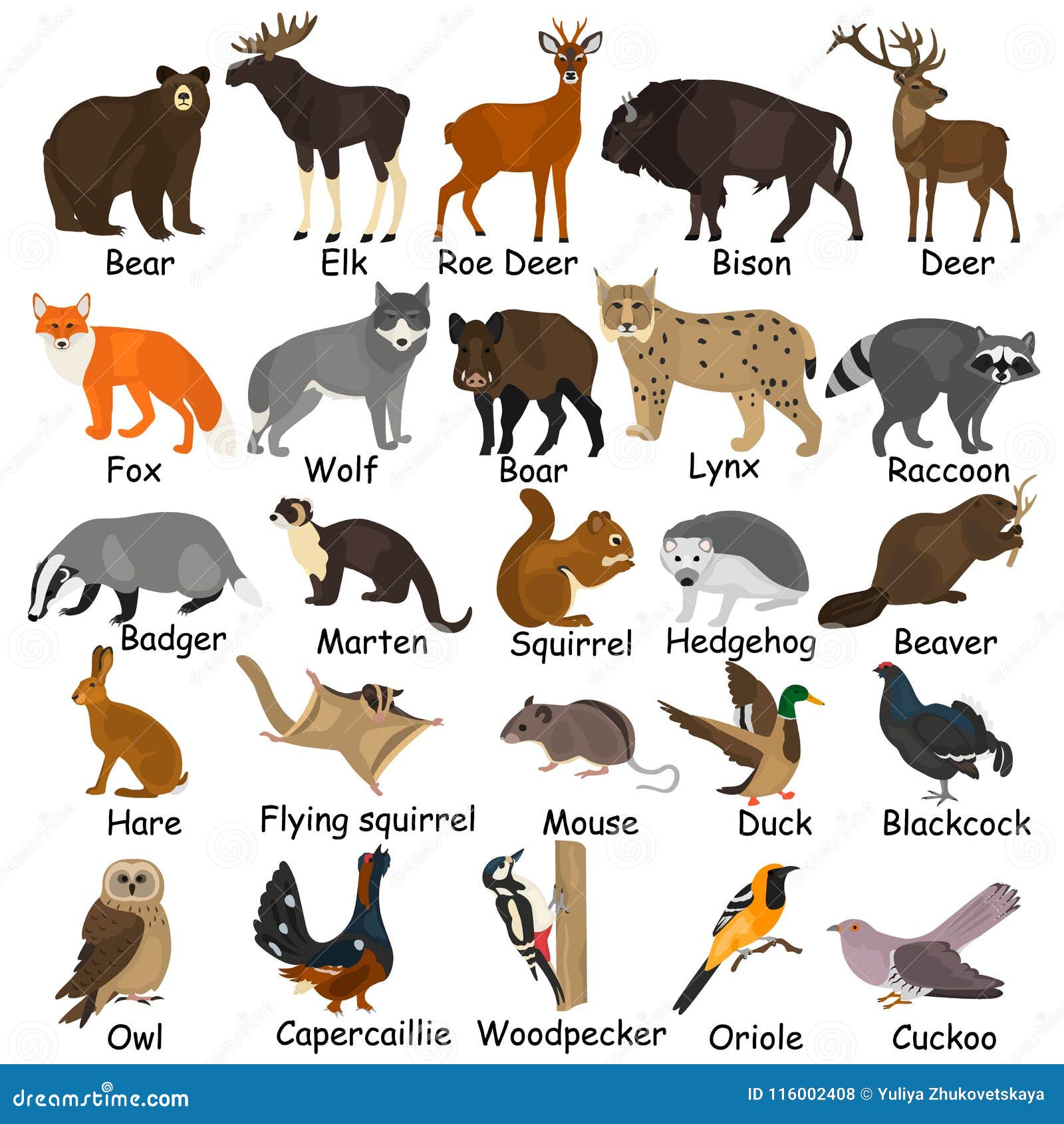 forest animals color flat icons set