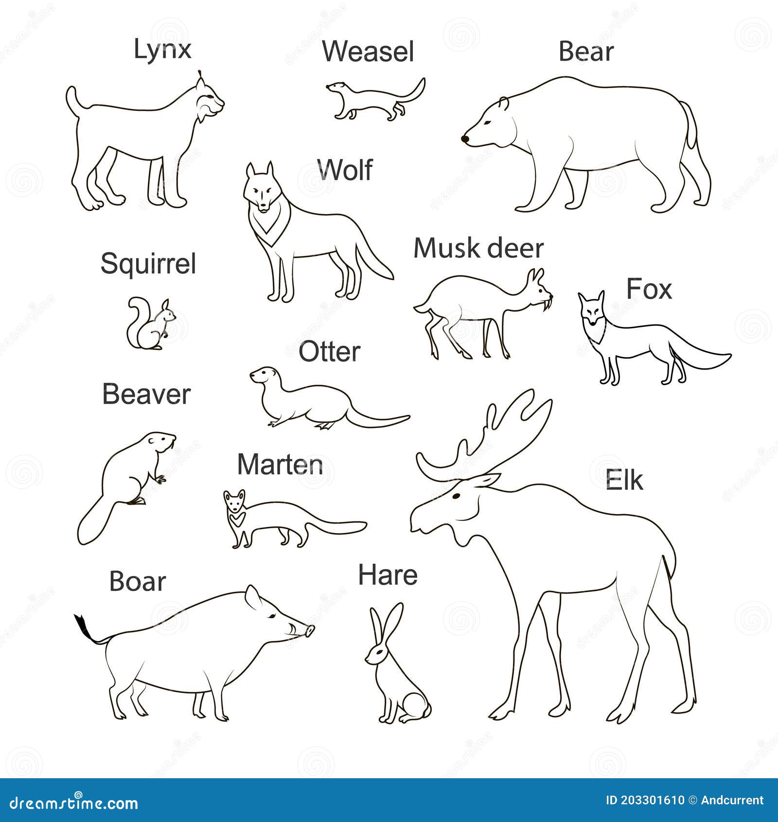 Forest Animals. Vector Black Drawing Silhouette Image Set Stock Vector - Illustration of mammal, hand: 203301610 Forest Animals. Vector Black Drawing Silhouette Image Set Stock Vector - Illustration of mammal, hand: 203301610