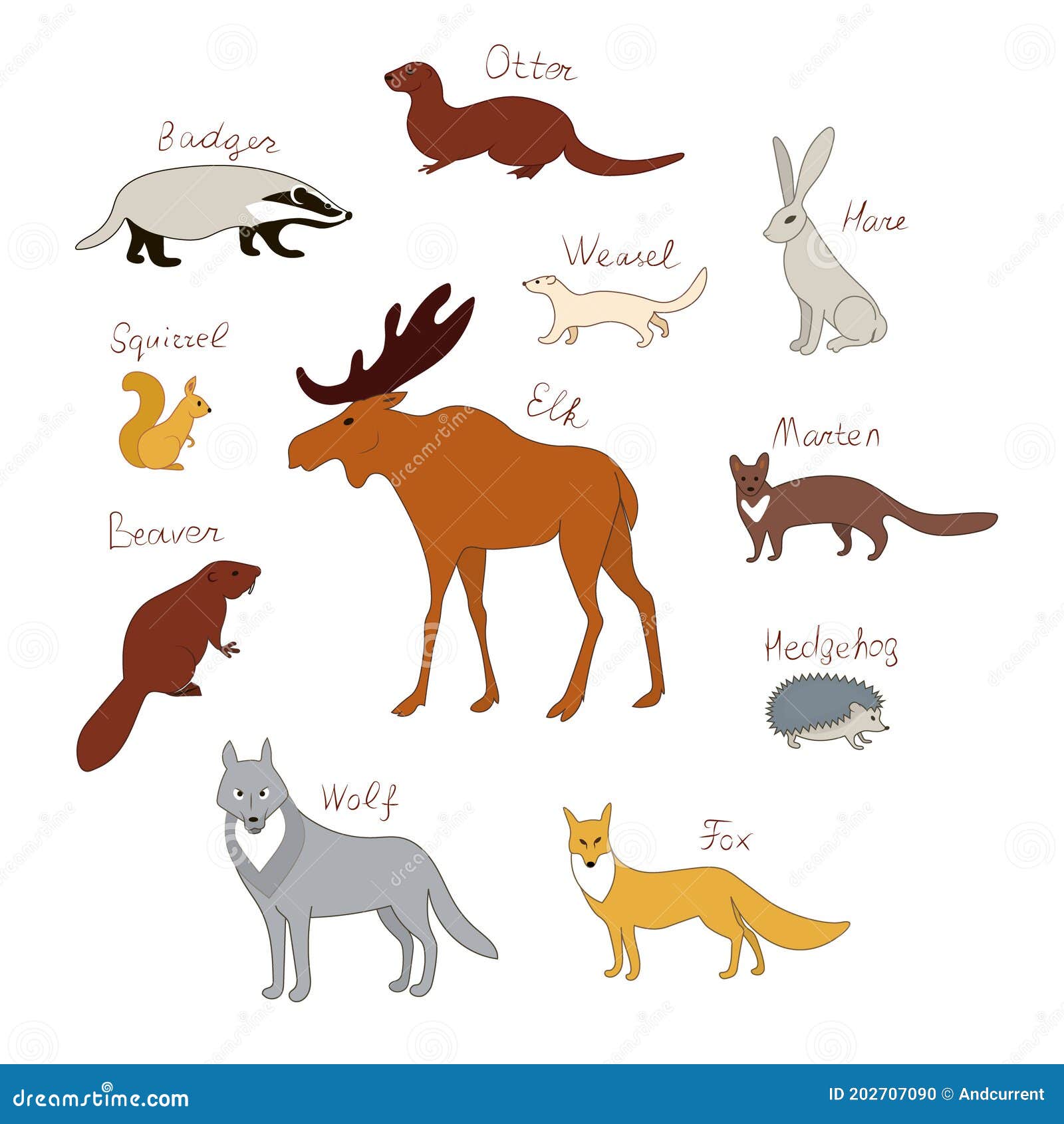 Forest Animals. Vector Color Drawing Silhouette Image Set. Stock Vector -  Illustration of fauna, weasel: 202707090